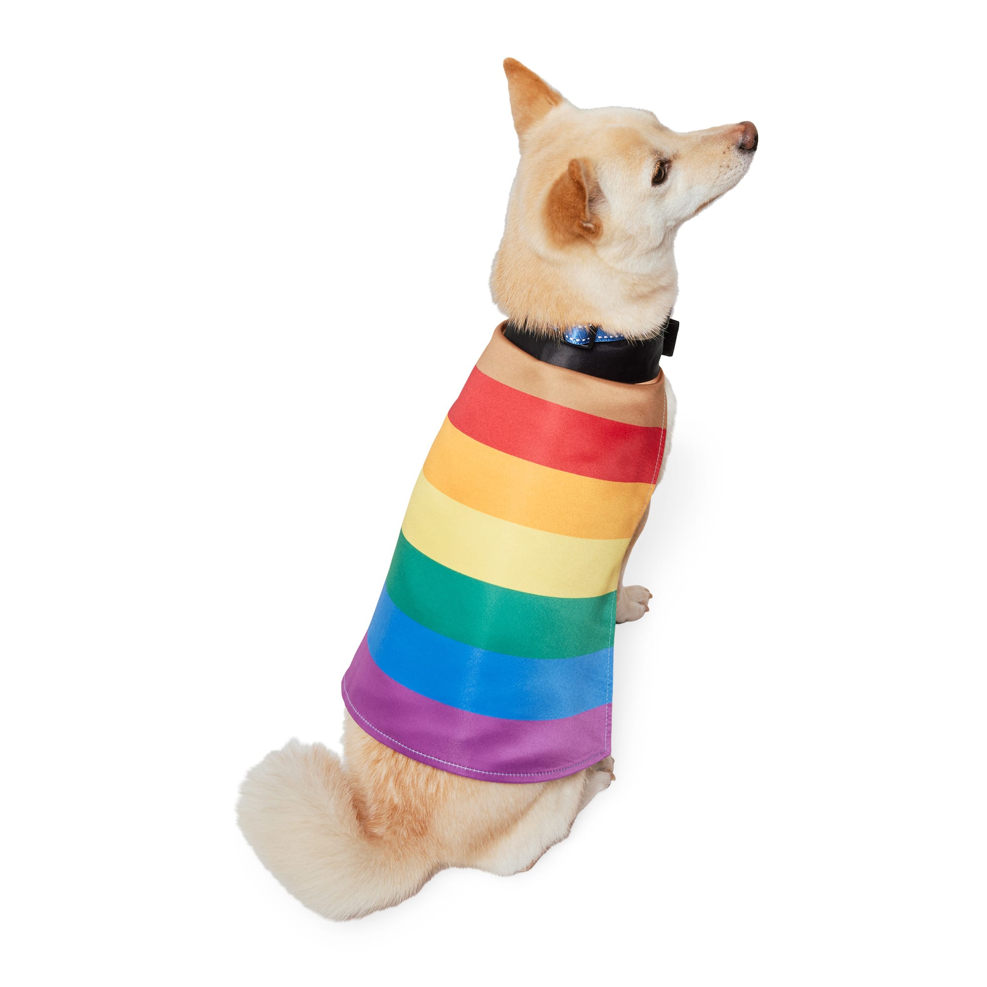 YOULY Rainbow Pride Dog Cape Small Medium Washable