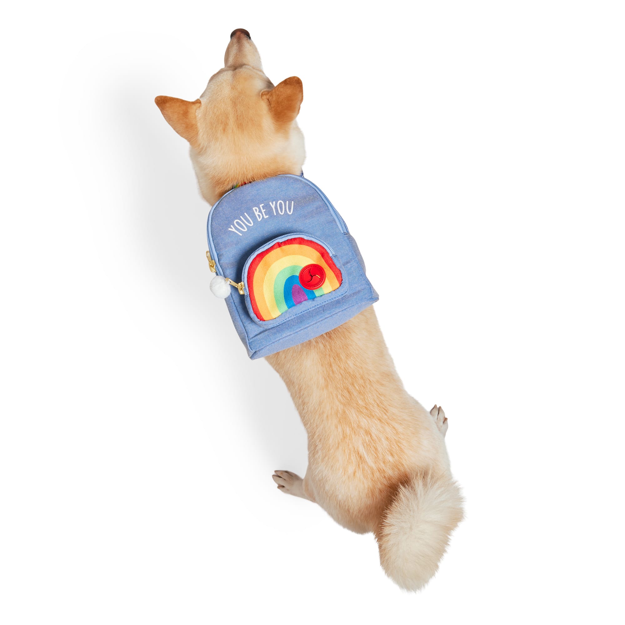 YOULY Pride Rainbow Dog Backpack for Small/Medium Dogs