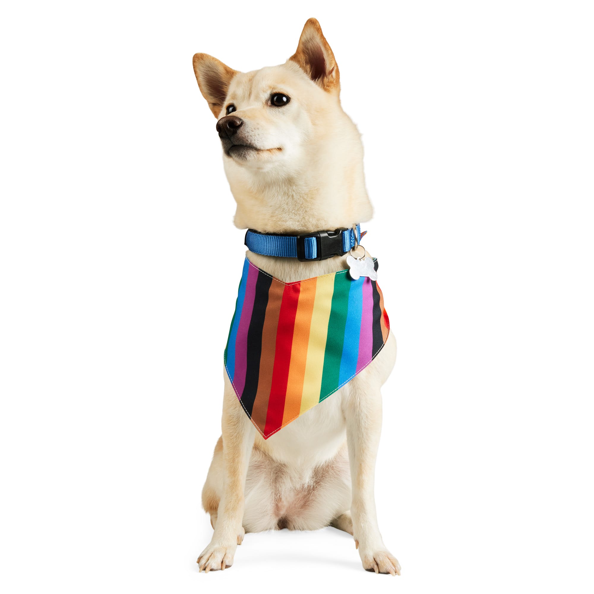 YOULY Pride Flag Reversible Bandana for Dogs and Cats X Small Small Rainbow Petco