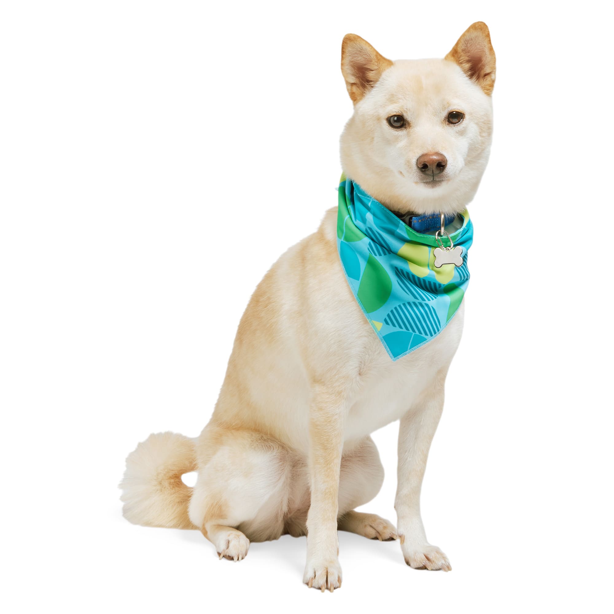 Dog Bandanas Handkerchiefs Petco