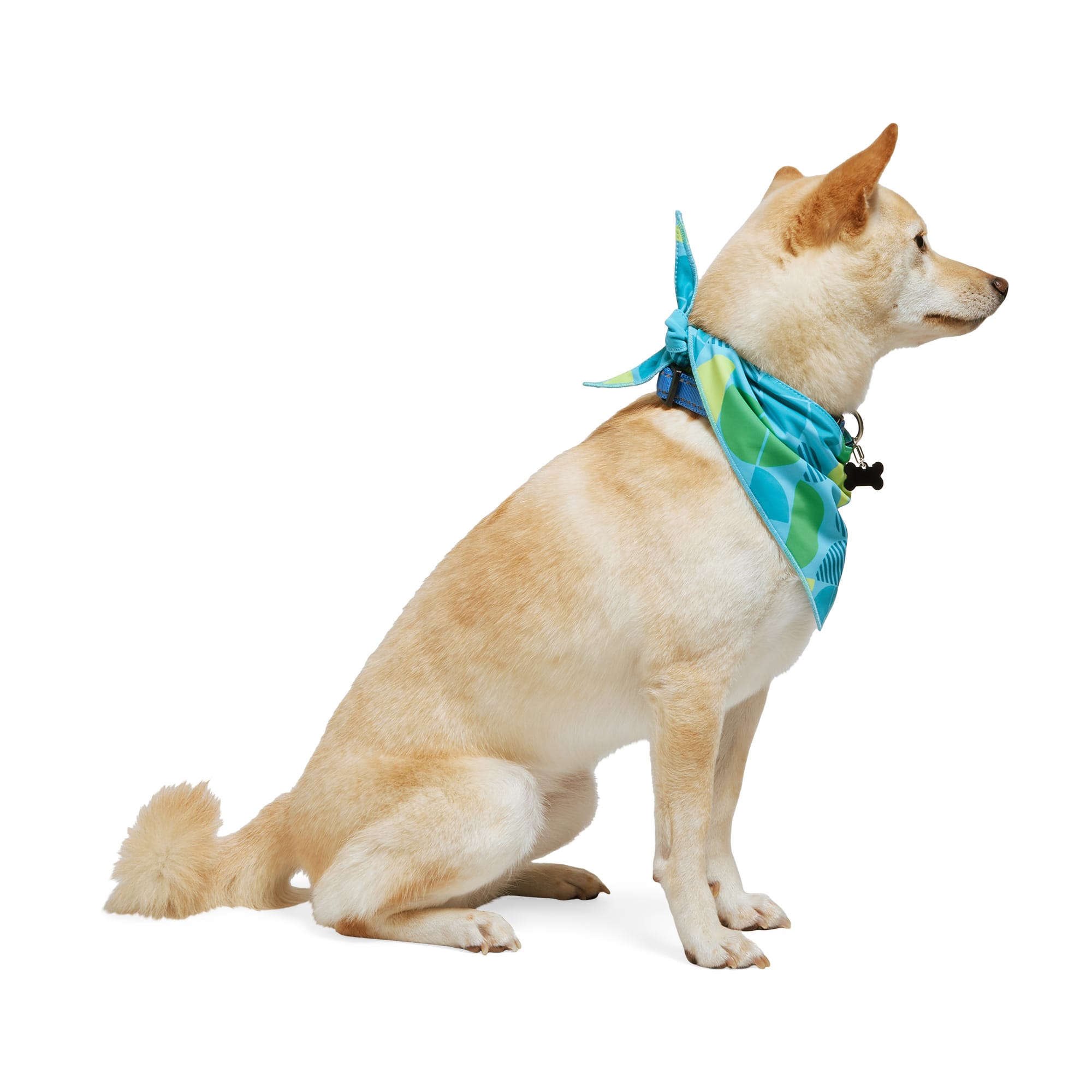 Youly Cool to Touch Dog Bandana X Small Small Blue