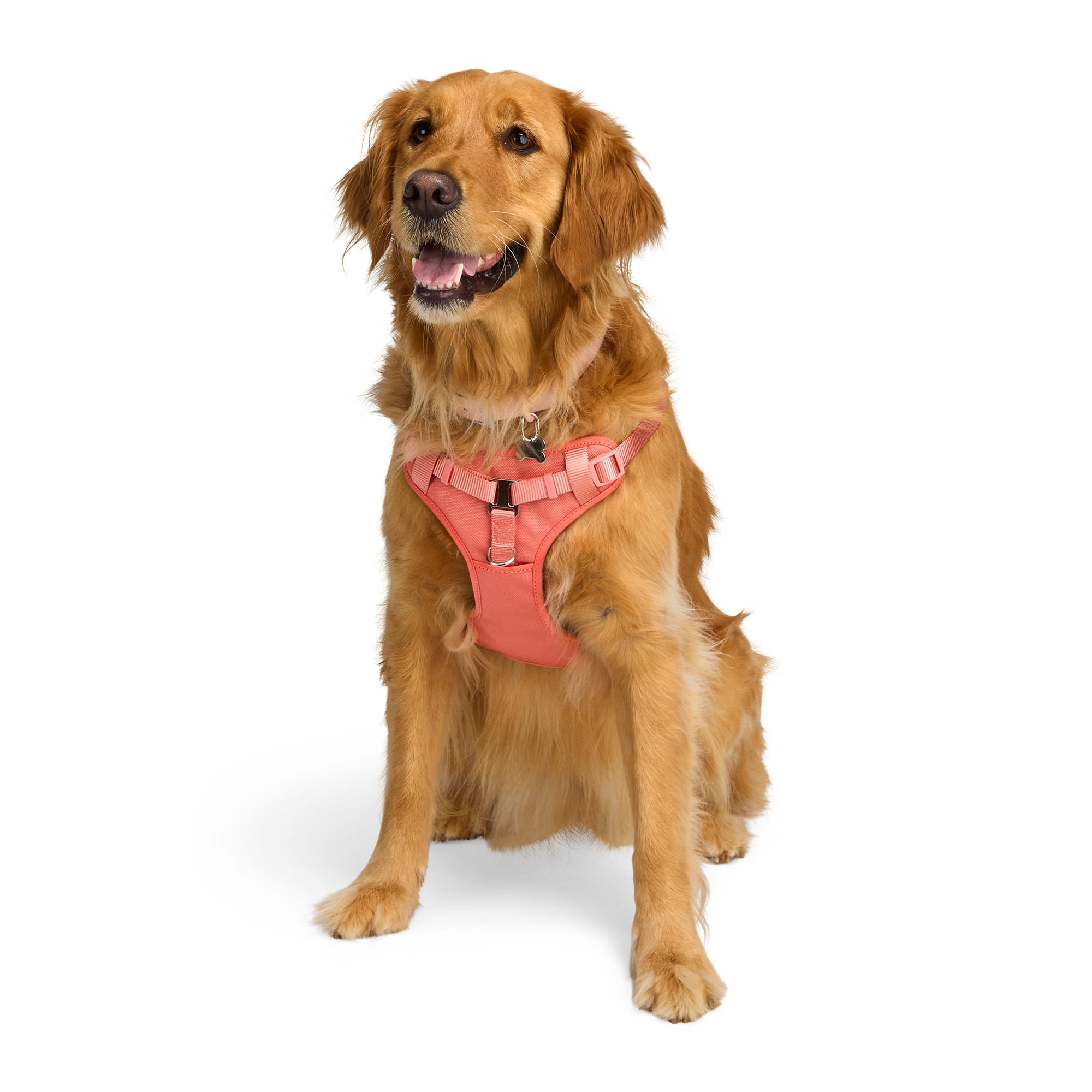Dog Harnesses Petco Easy Step In Harness Dog Harness Petco Steer