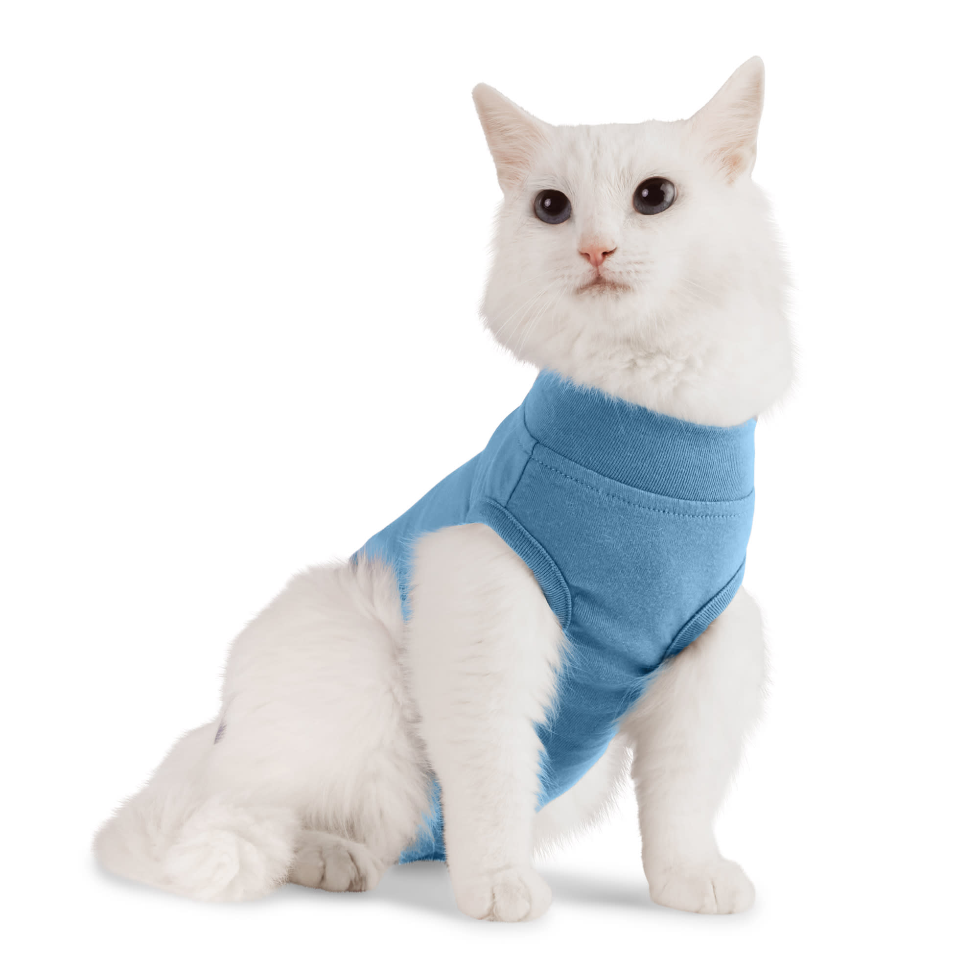 Well & Good Recovery Suit for Kittens, 3X-Small | Petco