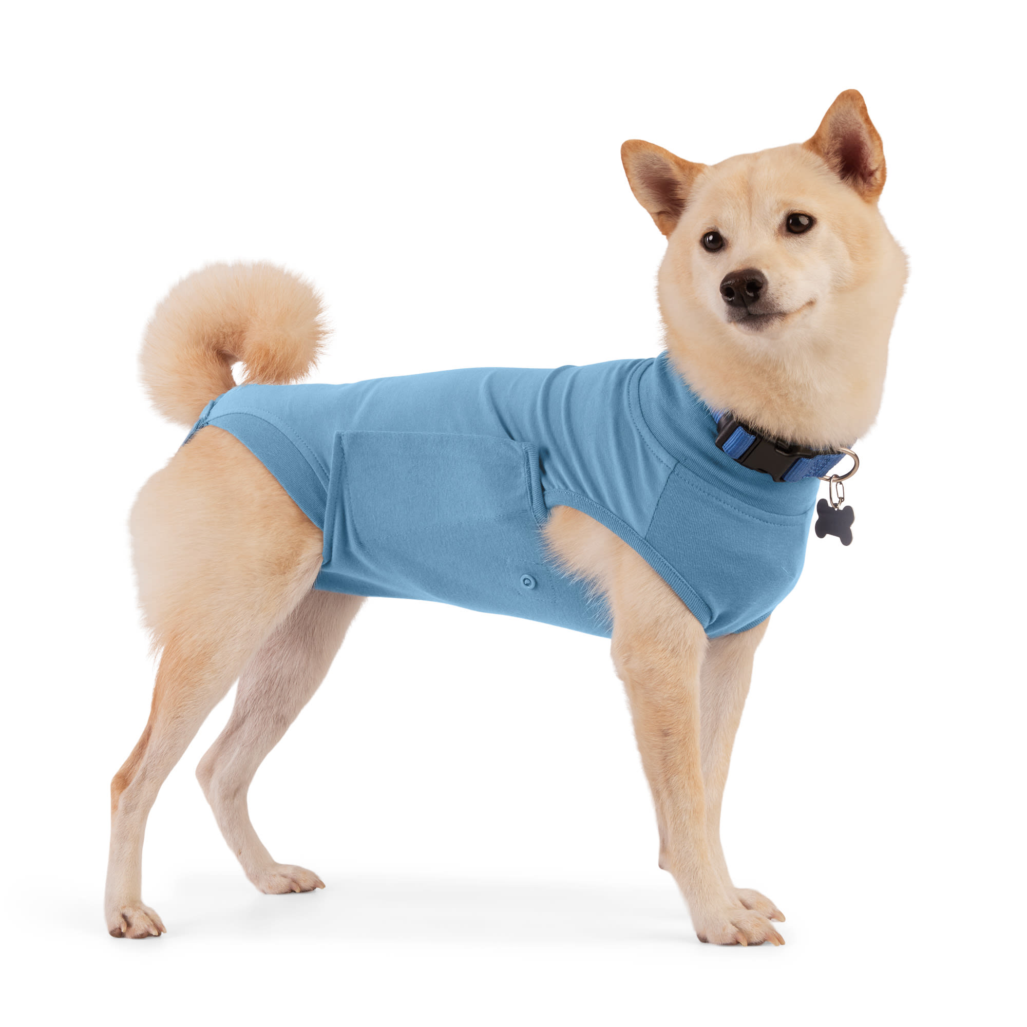 Well Good Recovery Suit for Dogs Small Medium Petco