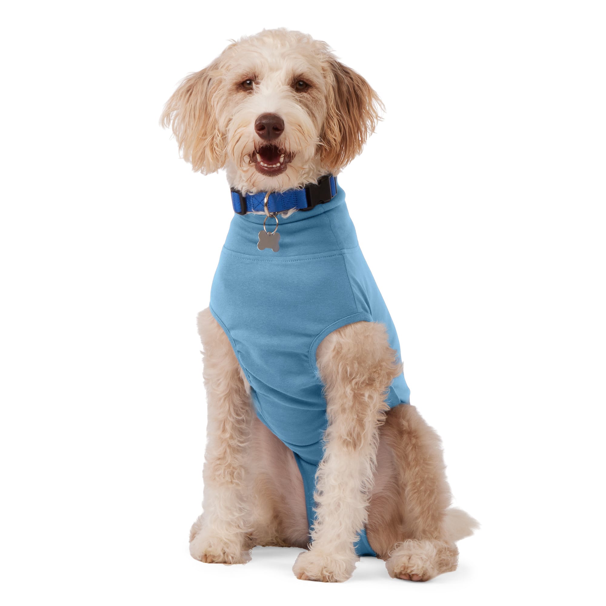 Petco surgical suit sale