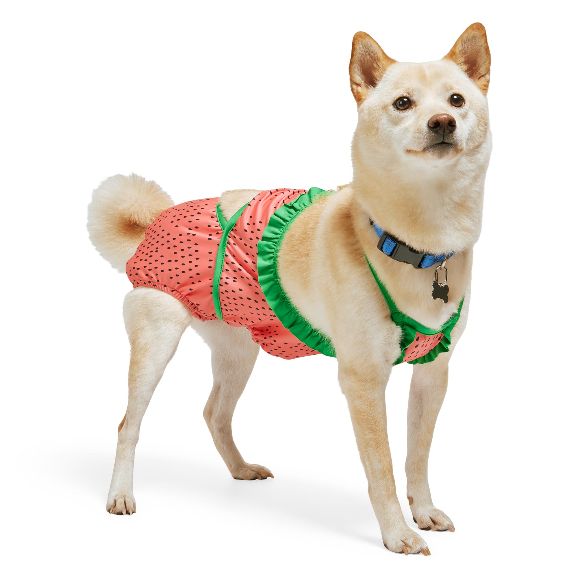 Dog bathing suits petco sales