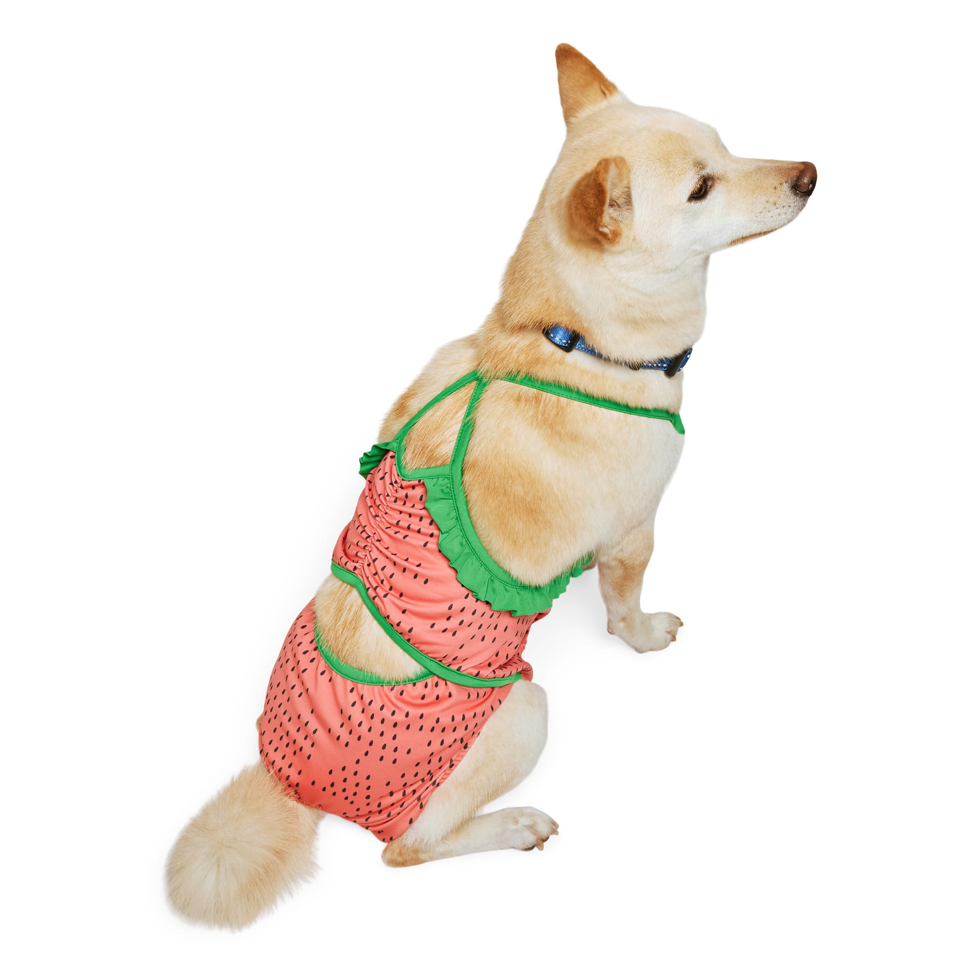 YOULY Watermelon XS Dog Swimsuit UPF 50 Protection