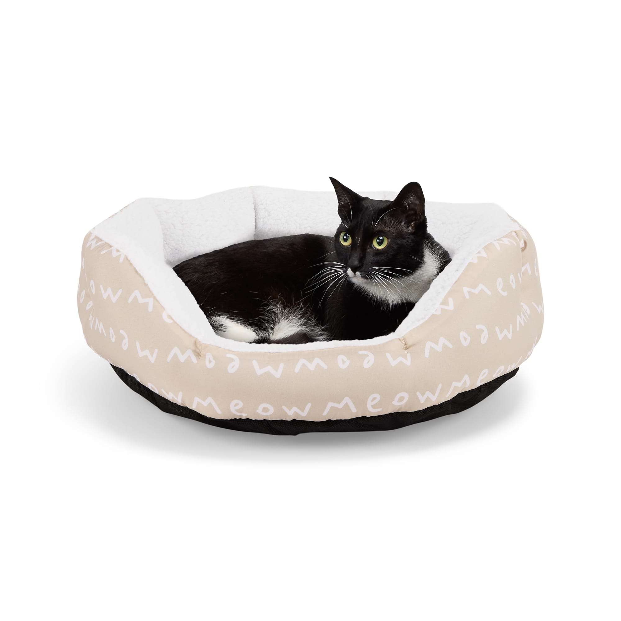 Ethical Pet Meow Oval Cat Dish Coral Ethical Pet Meow Oval Cat Dish Coral