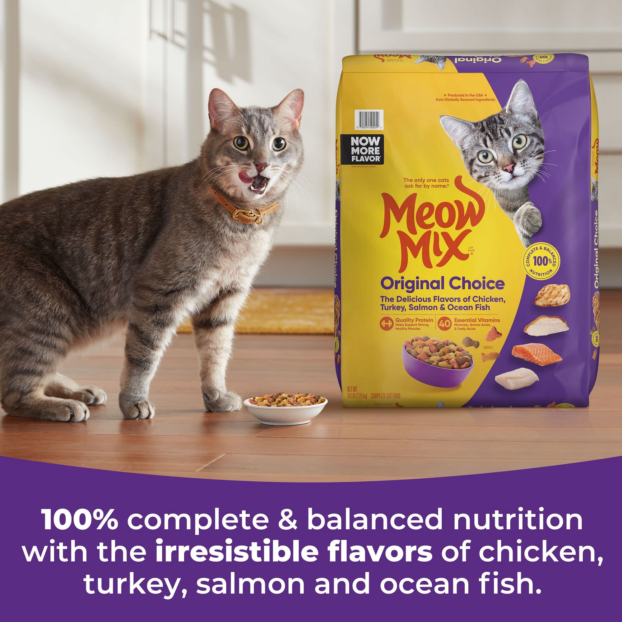 Meow Mix Original Choice Dry Cat Food, 3.15-Pound Bag