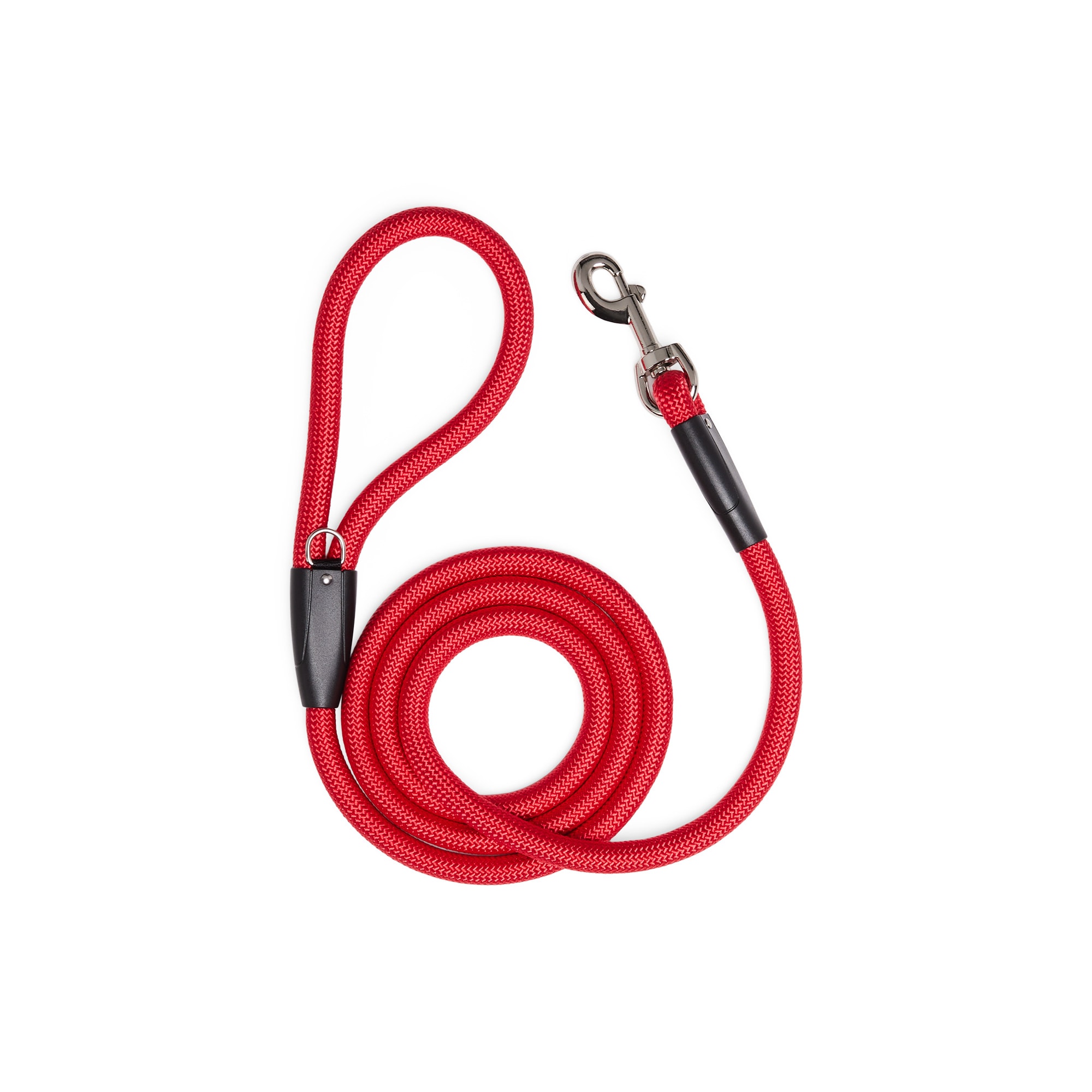 Petco slip leash best sale