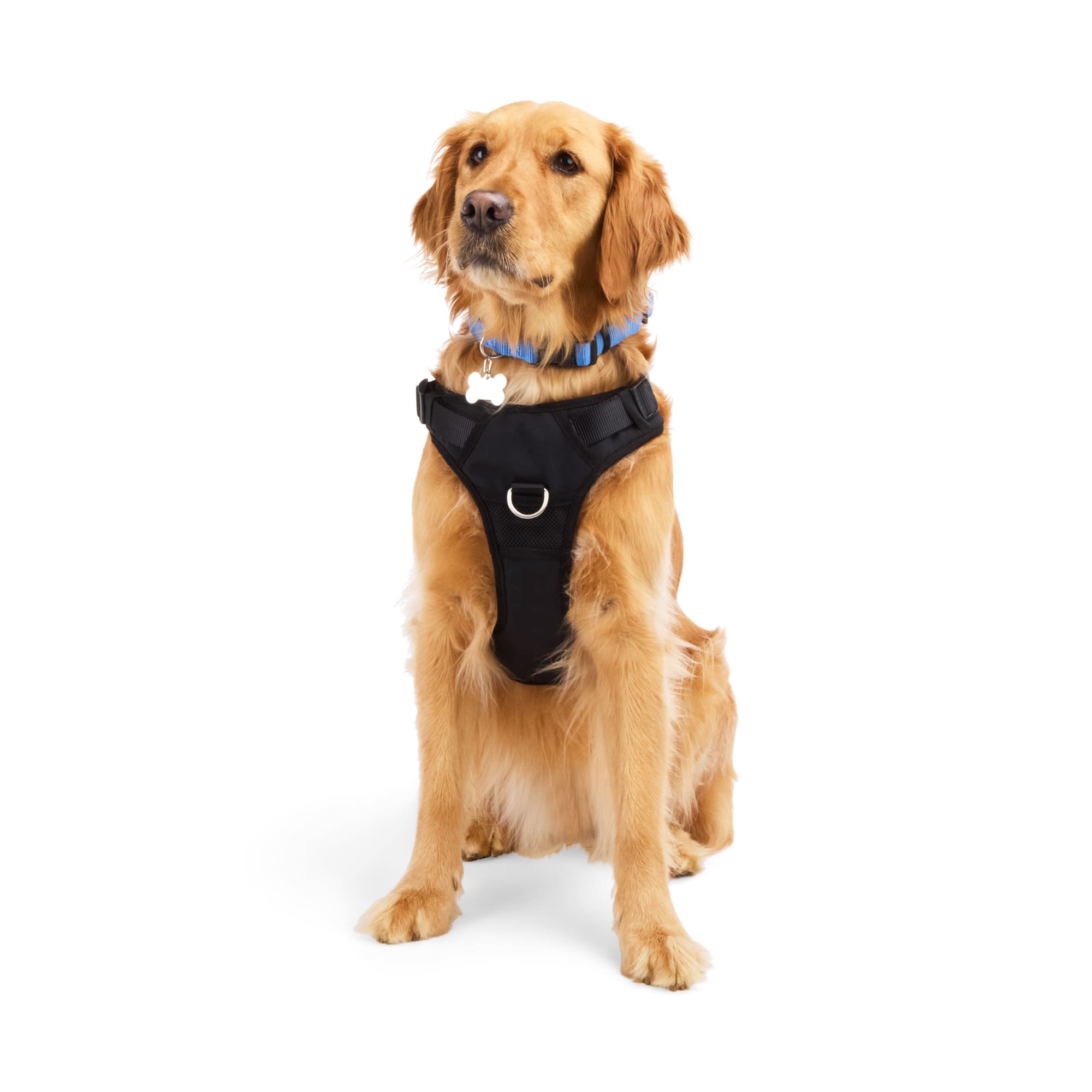 Petco good2go harness best sale