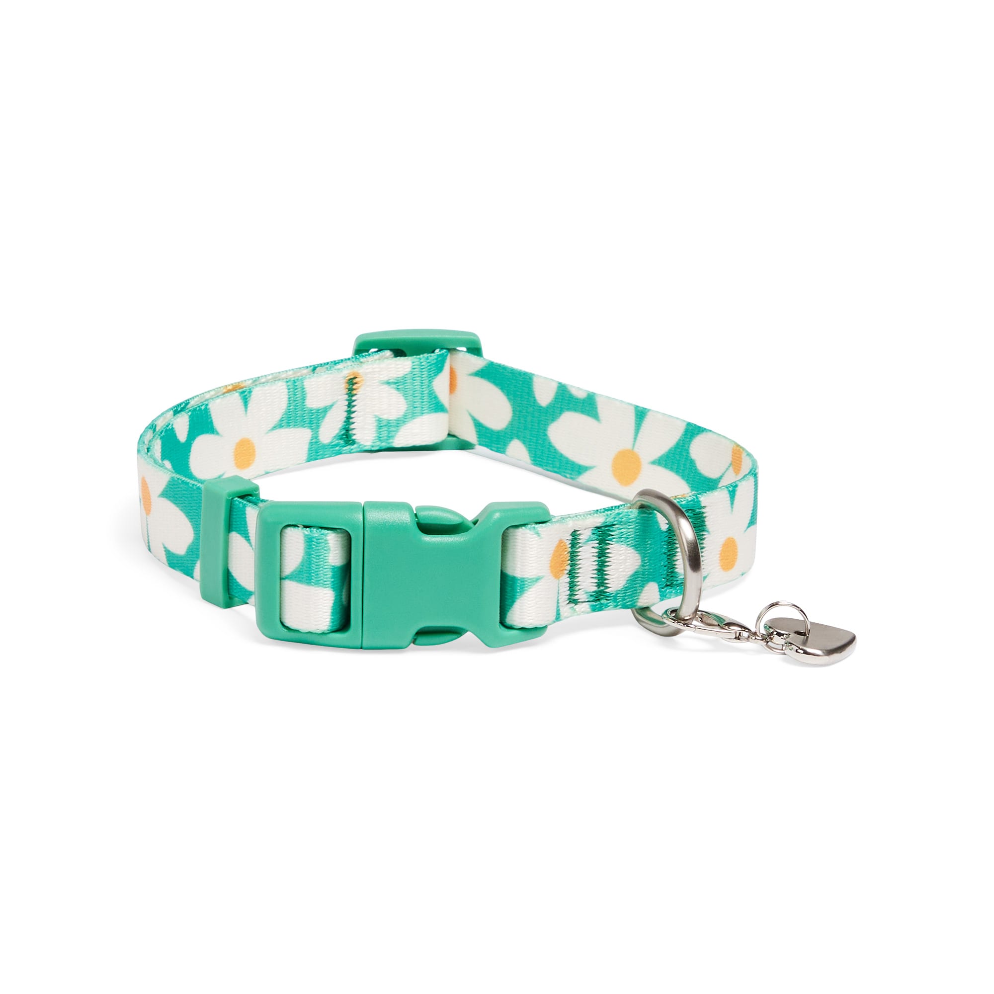 YOULY Daisy Dog Collar, Small | Petco