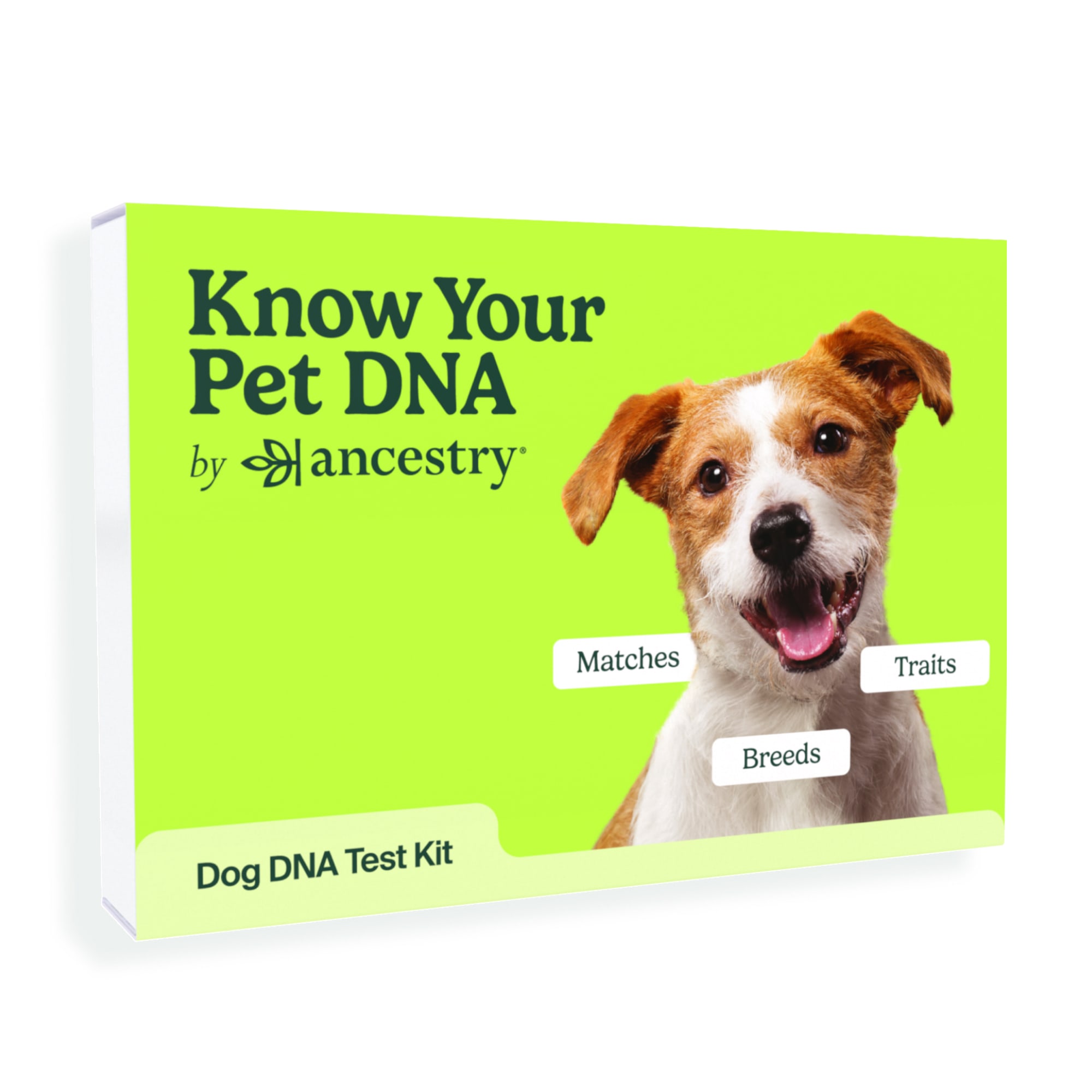 Dog ancestry sales test kit