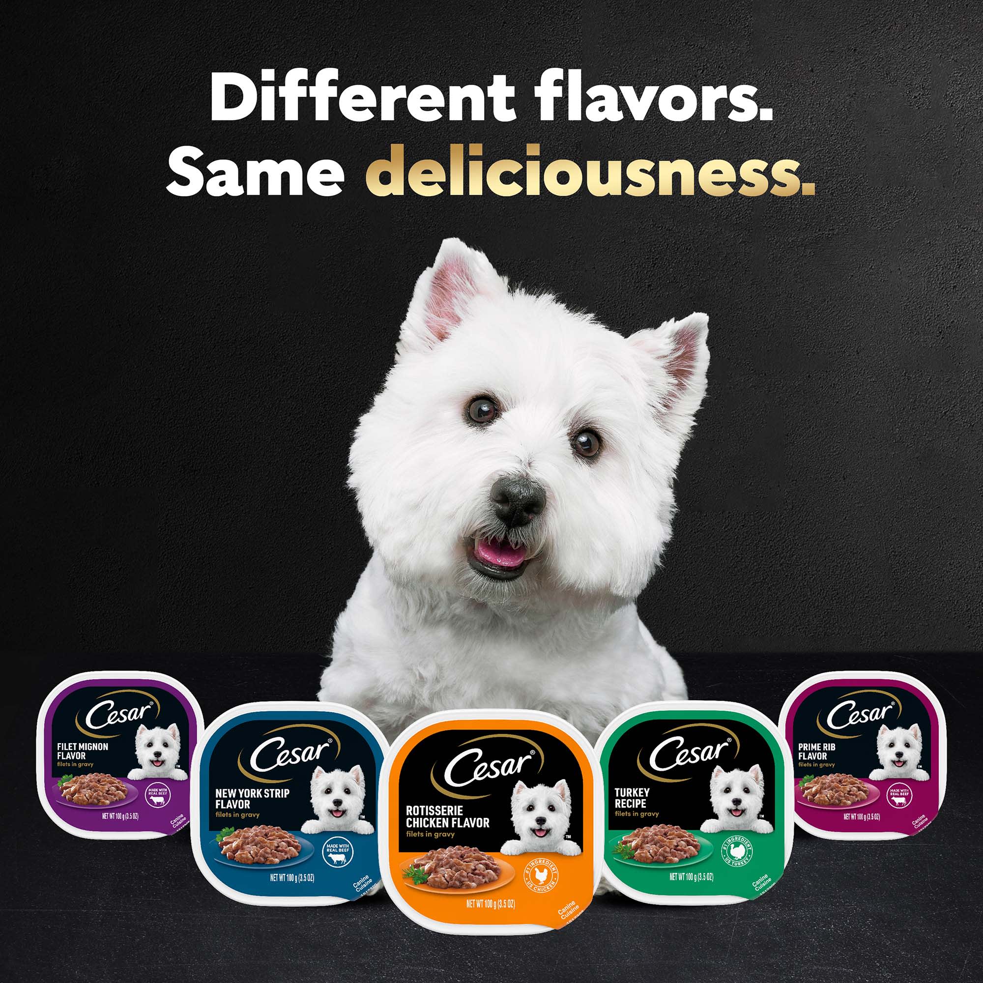 Cesar dog food petco hotsell