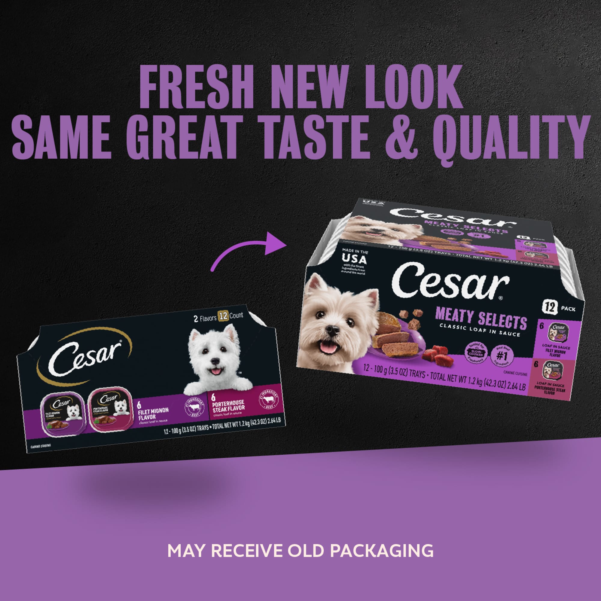Cesar Loaf in Sauce Adult Wet Dog Food Beef Flavors Variety Pack, 3.5 oz.,  Count of 12 | Petco
