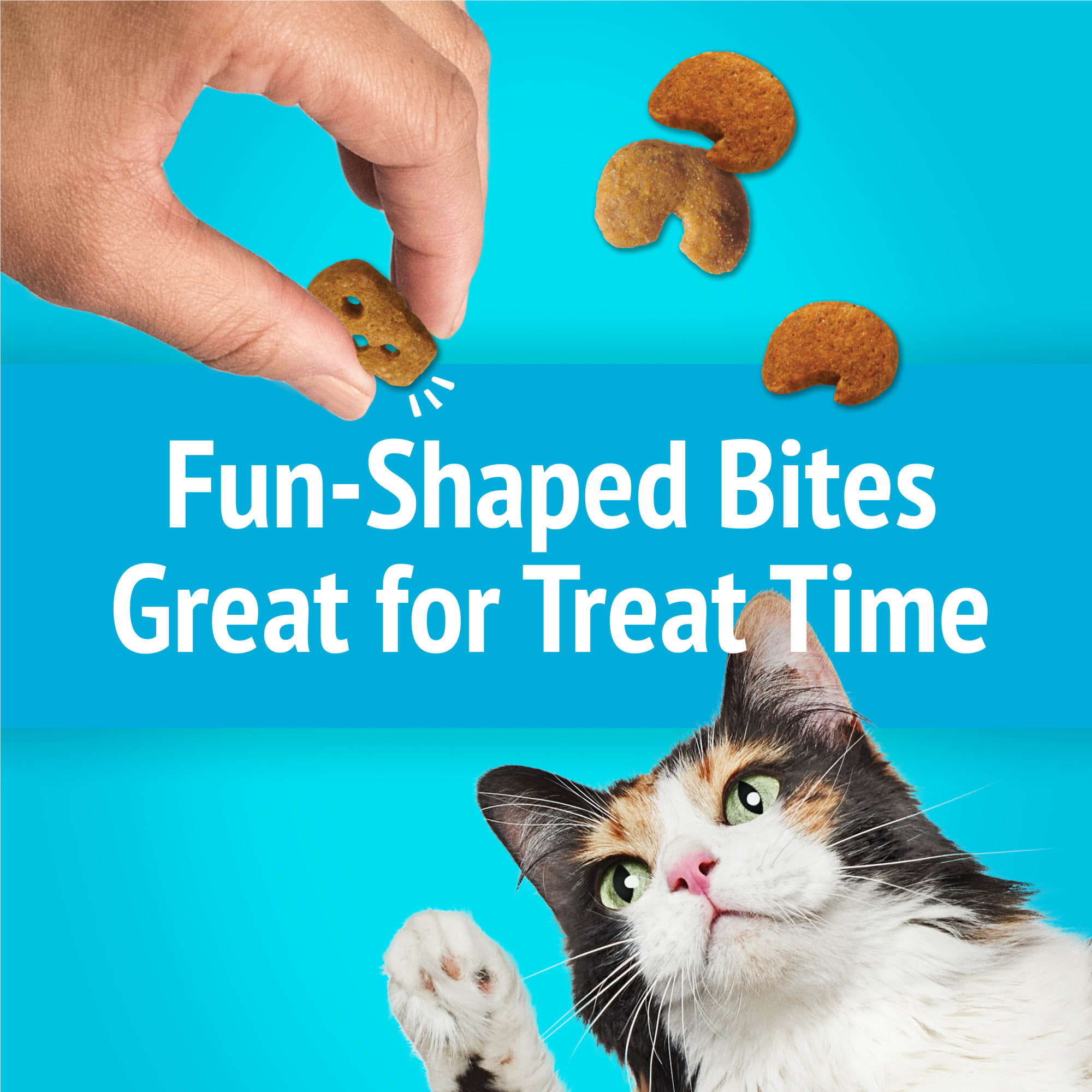 Lobster mac and cheese cat treats best sale