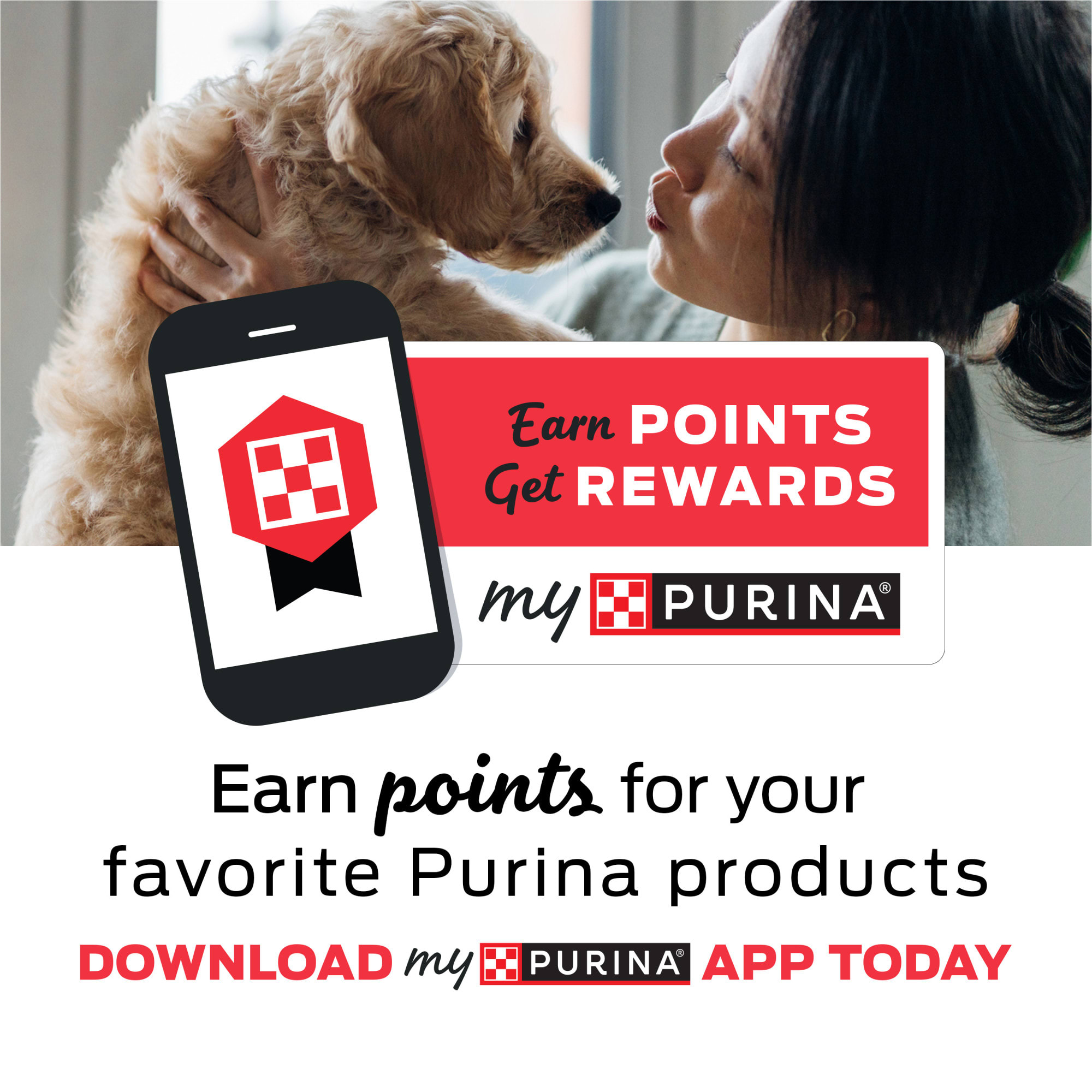 Petco beneful best sale