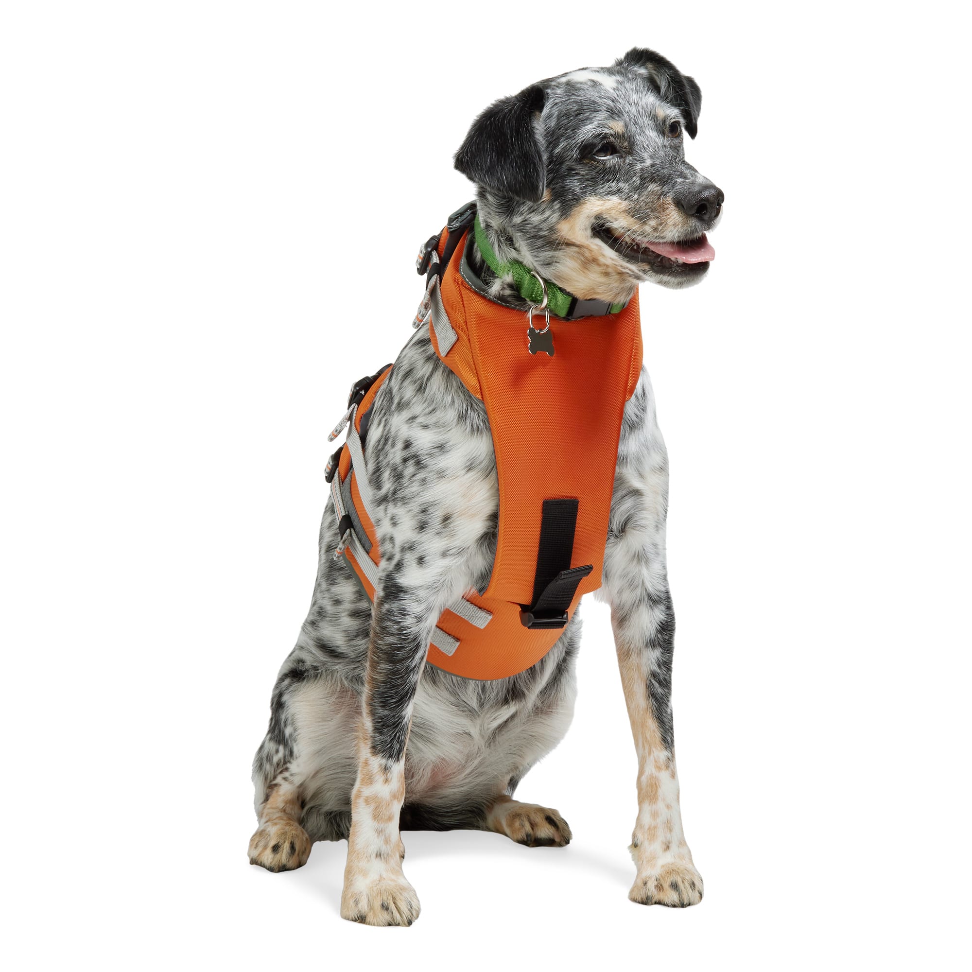 thumbnail image 2 of CWS Weighted + Flotation Dog Vest – XXS To XL – Sandbags Included (No Sand) 2 of 6
