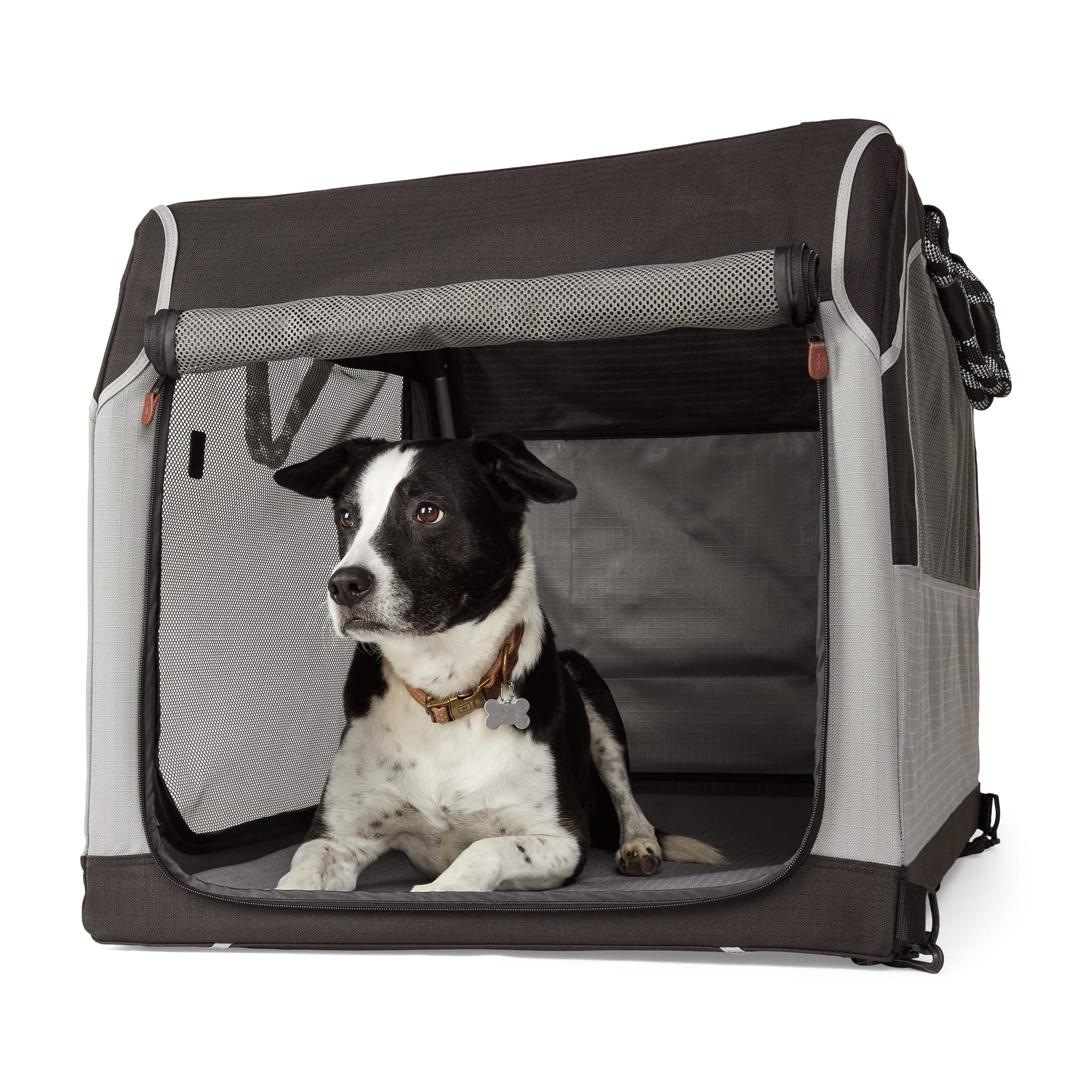 Carrier Petco Xxl Crate EveryYay 1-Door Dog Crate, 18