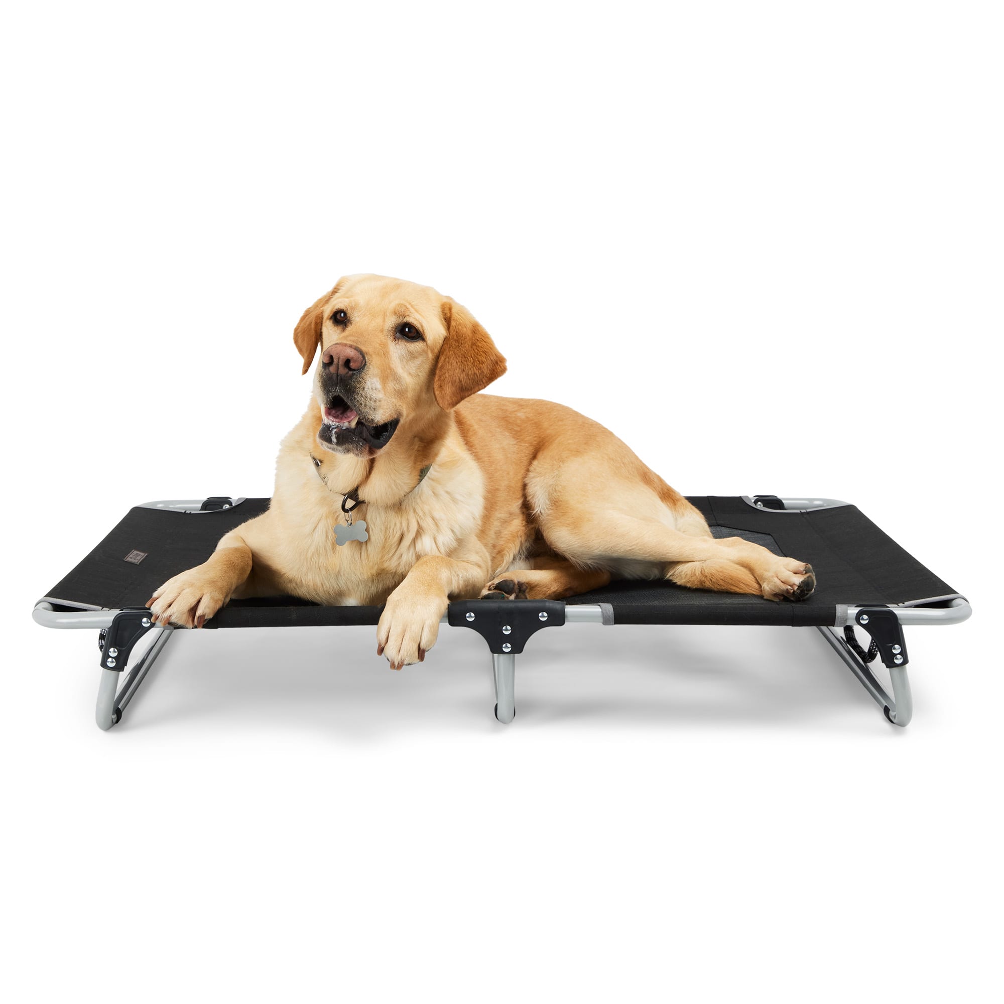 Folding dog cot best sale