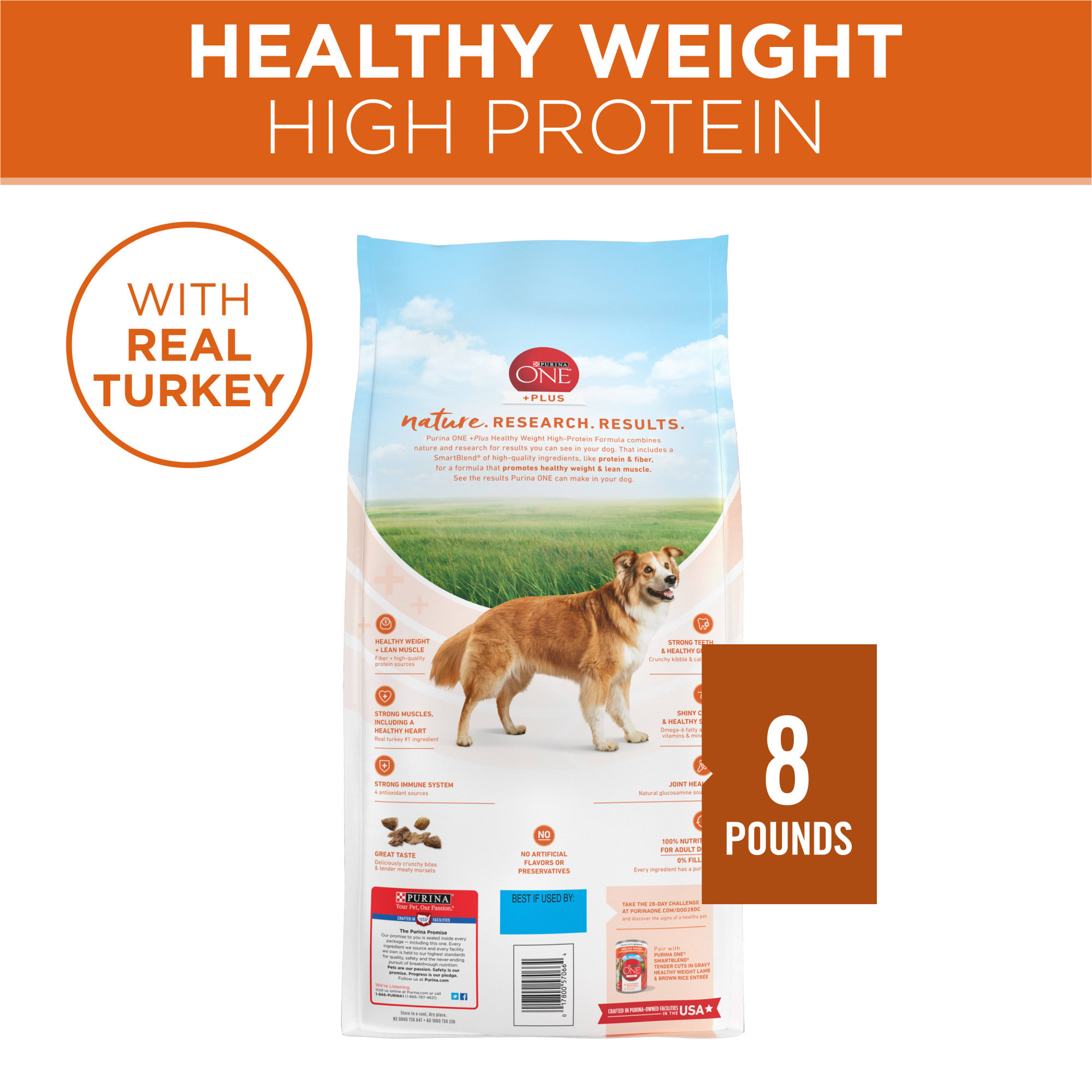 Purina one best sale dog food petco