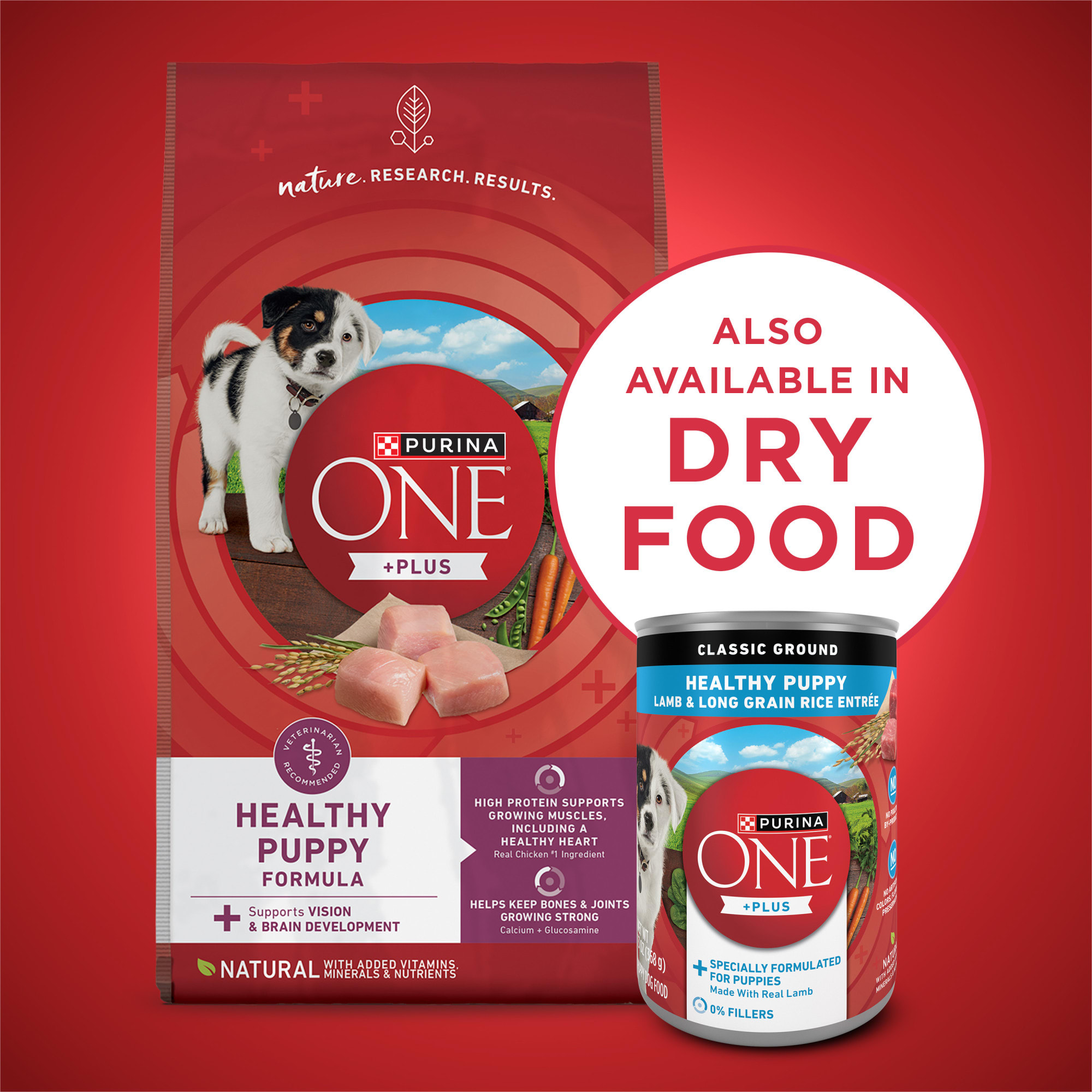 Purina One Plus Healthiest Dog Food For Small Dogs Purina ONE