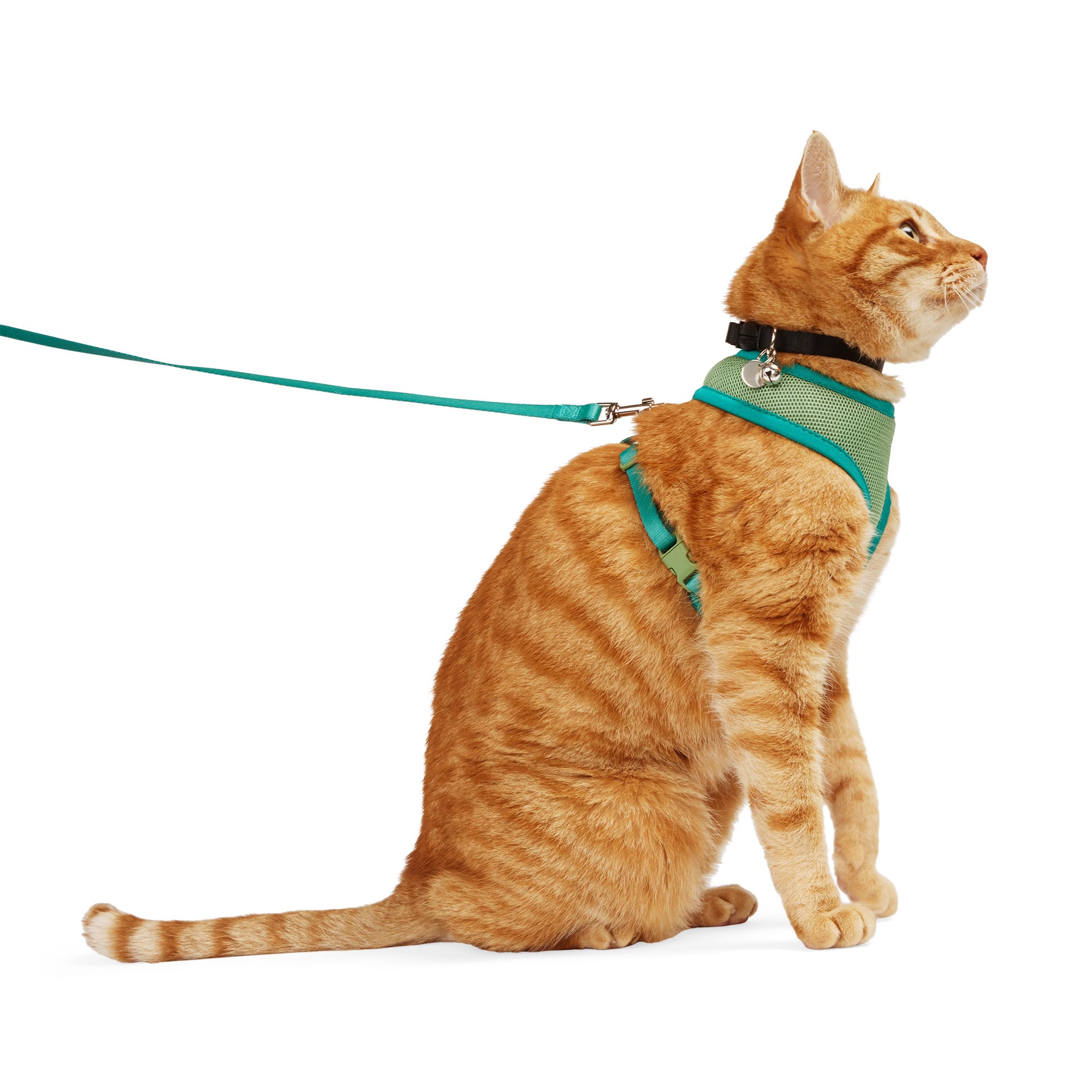 Youly Updated Mesh Cat Harness & Leash Set, Green, Small/Medium