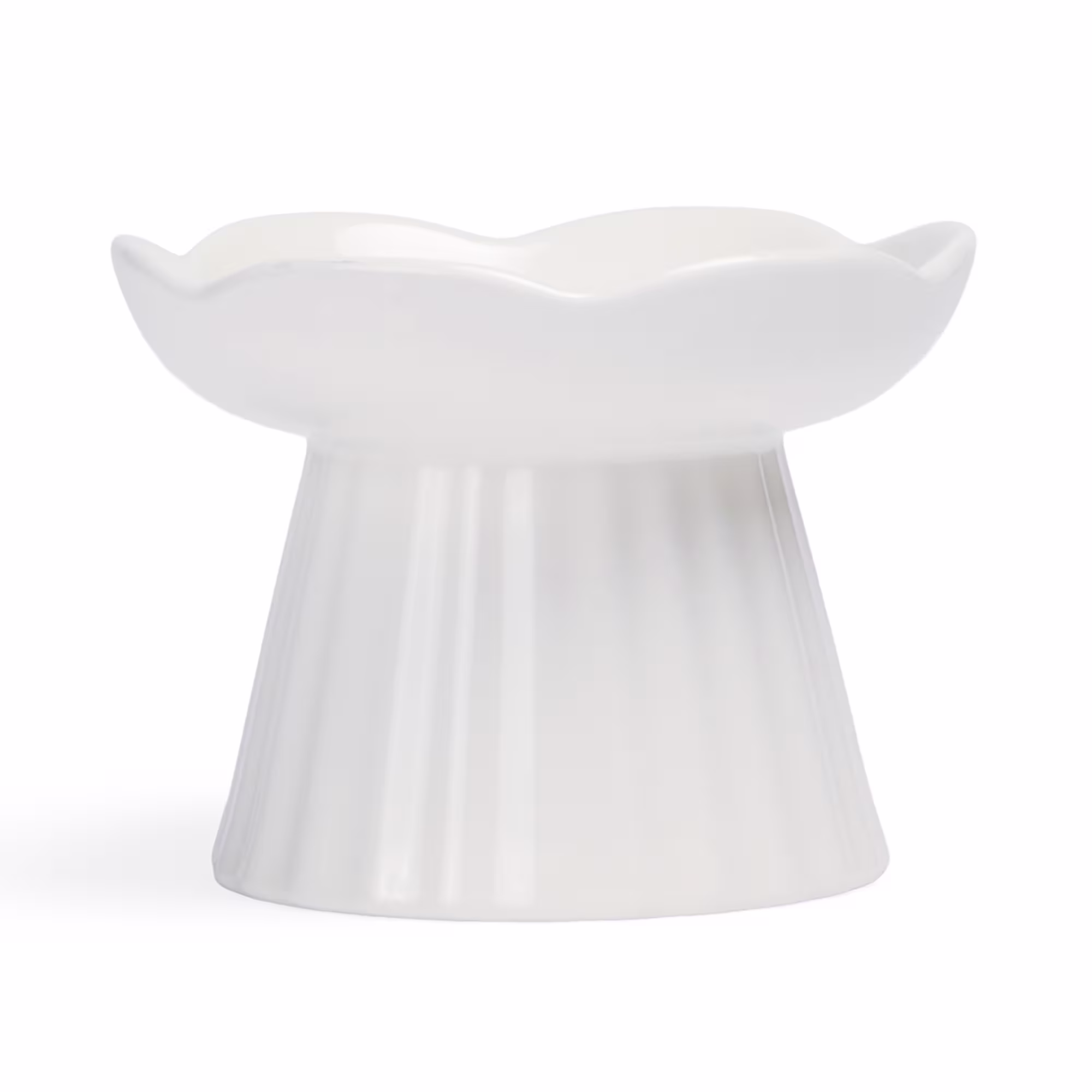EveryYay Elevated Floral Ceramic Cat Bowl, 0.76 Cup, Small | Petco