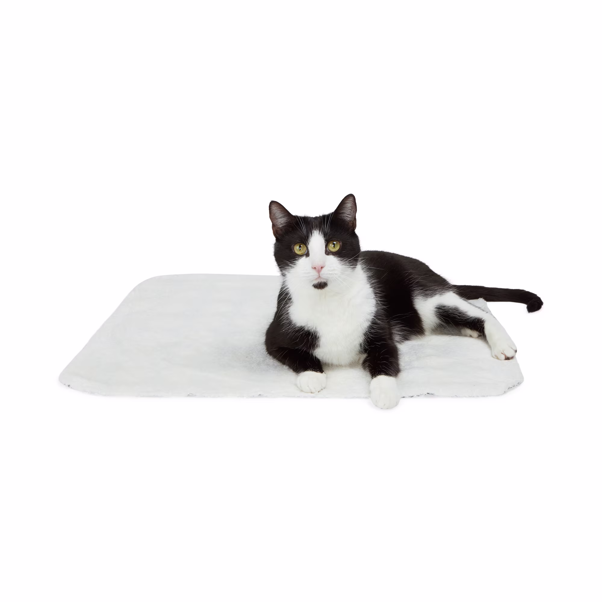 EveryYay Gray Diamond Print Cat Throw, 24