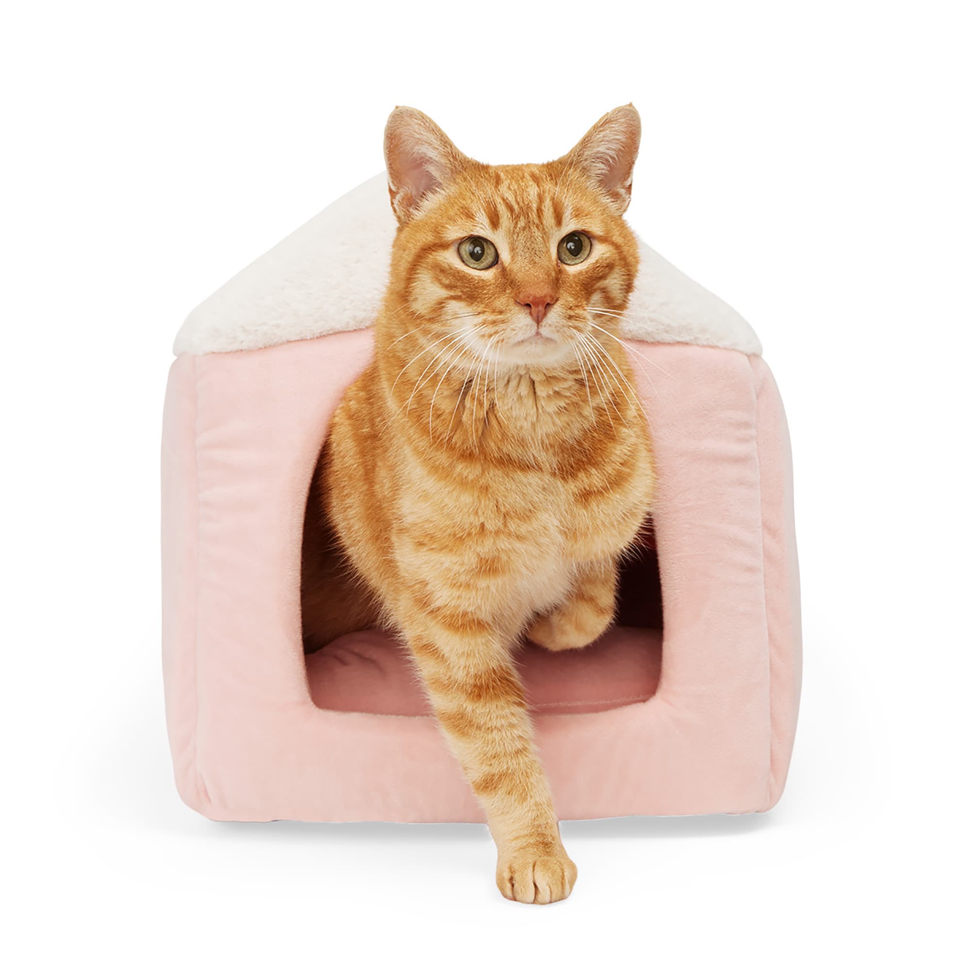 family cats　0101 ♡ Essence SH-6030 AcrylX Alcove Center Drain Four-Piece Shower