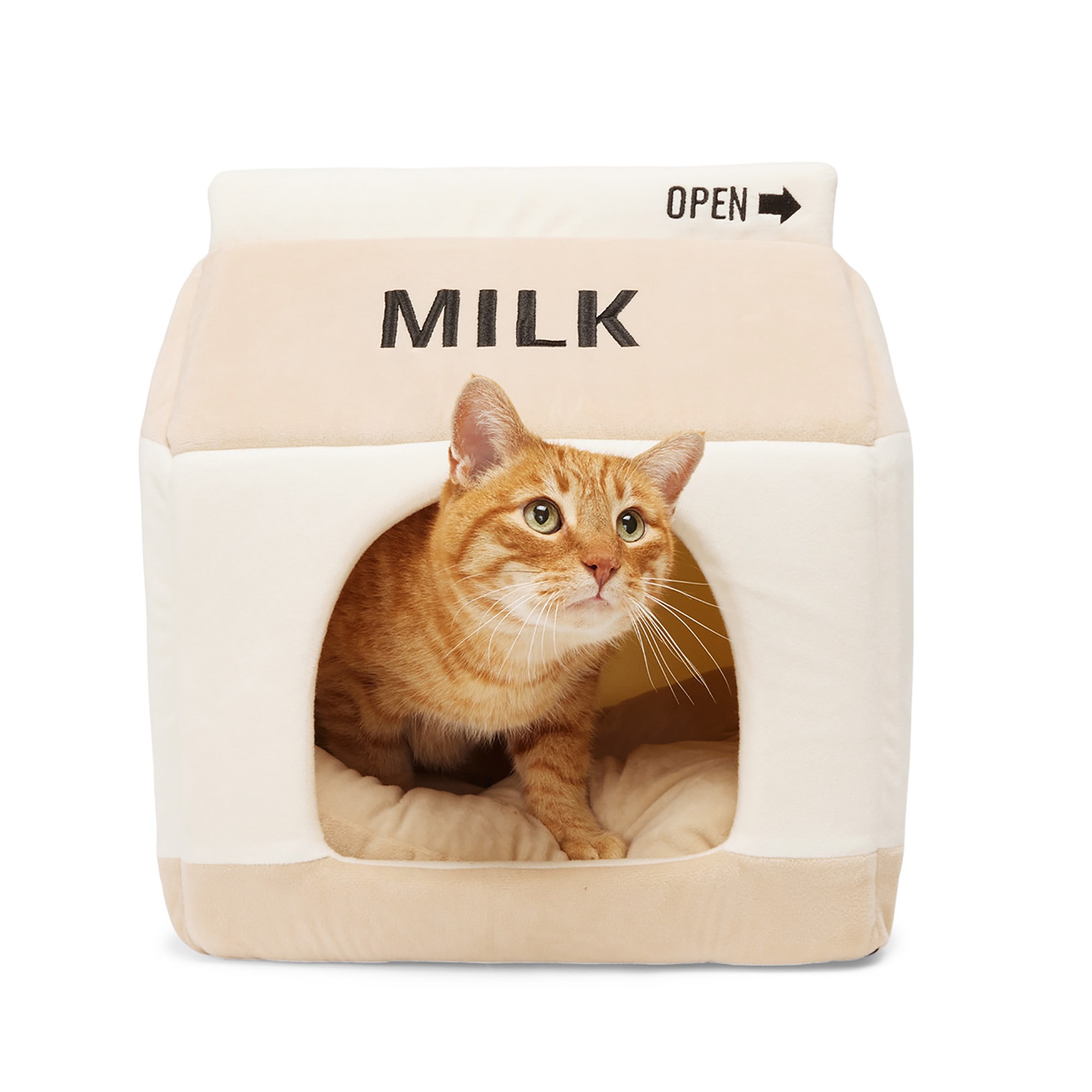 Petco cat milk best sale