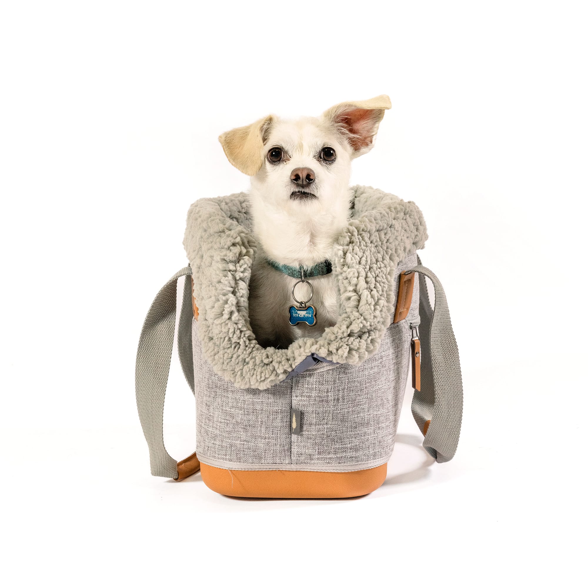 Chihuahua backpack outlet carrier