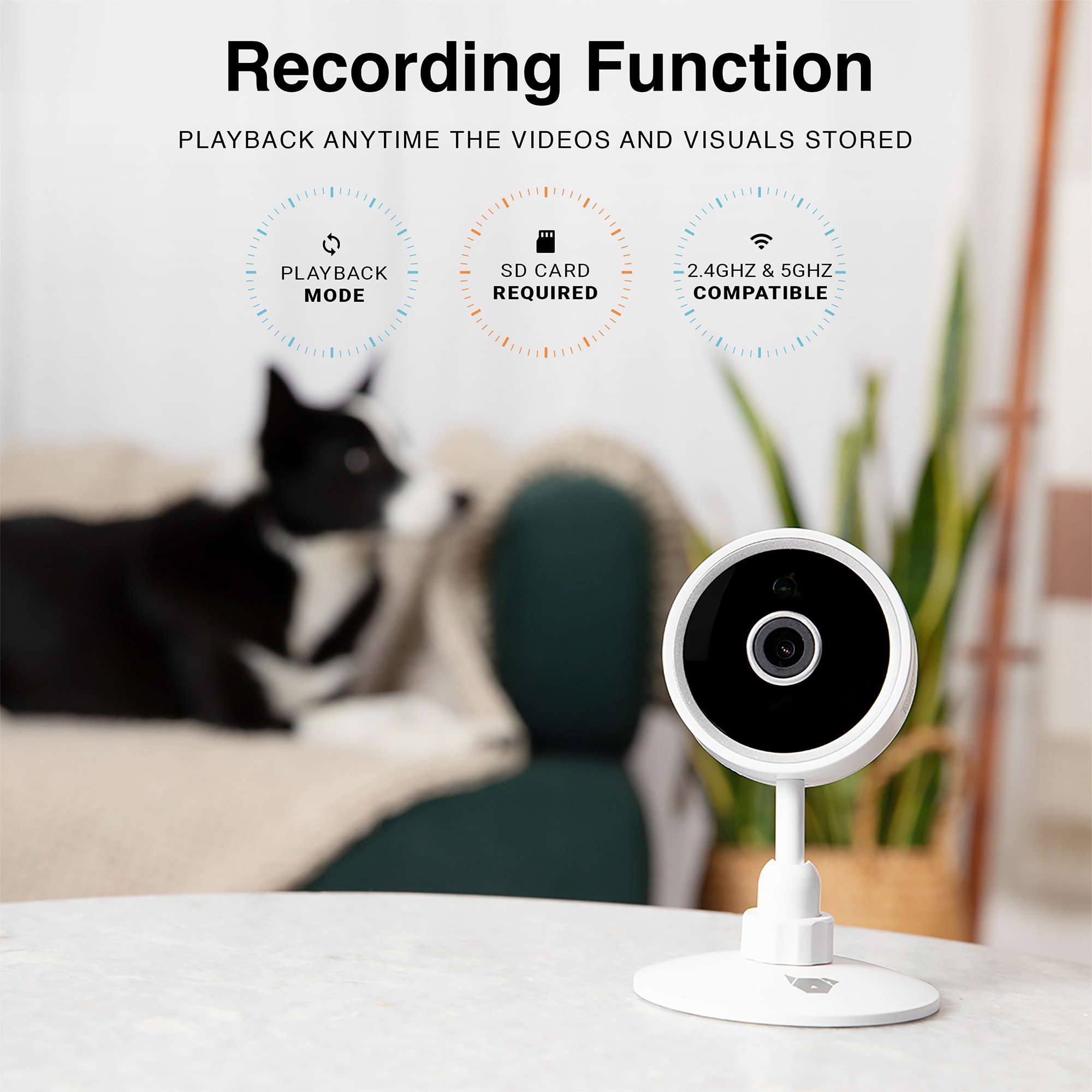 Best Dog Cameras & Treat Dispensers 2026: According to Customer Reviews ...