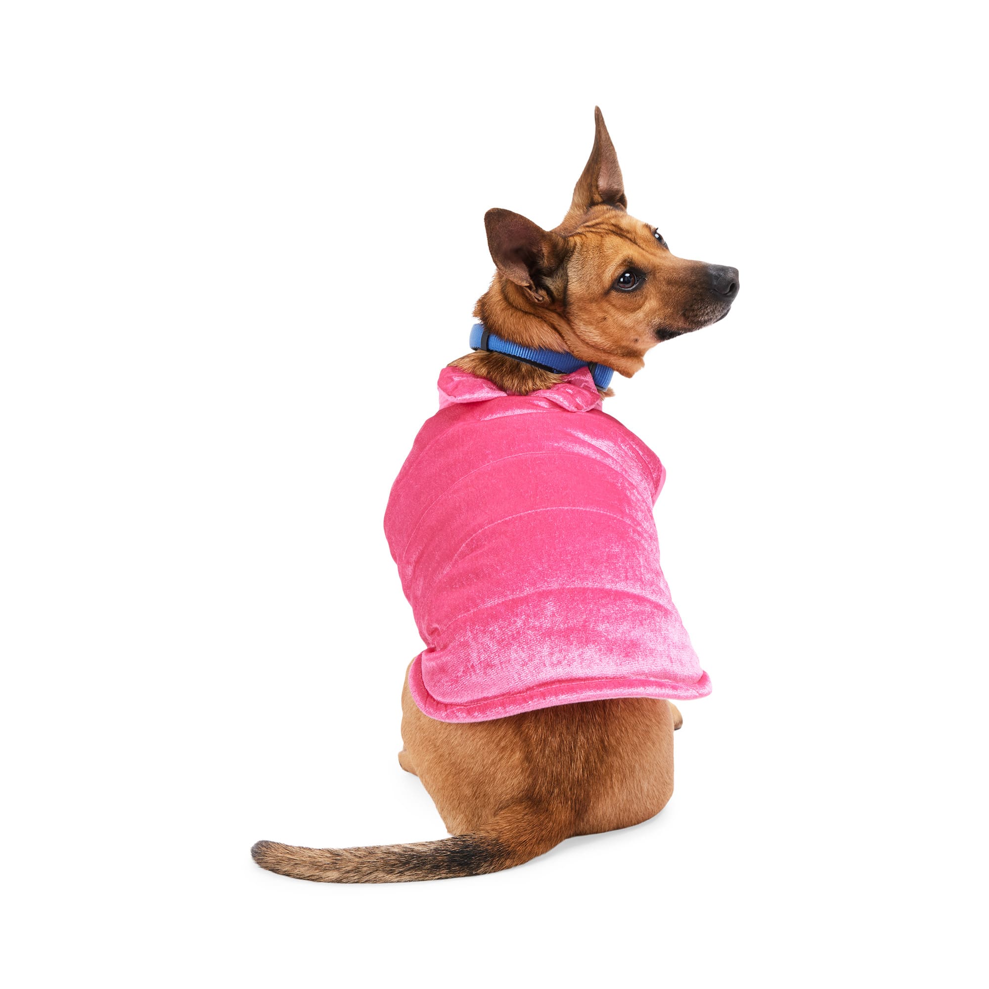 YOULY Dog Vest, Medium, Pink Petco