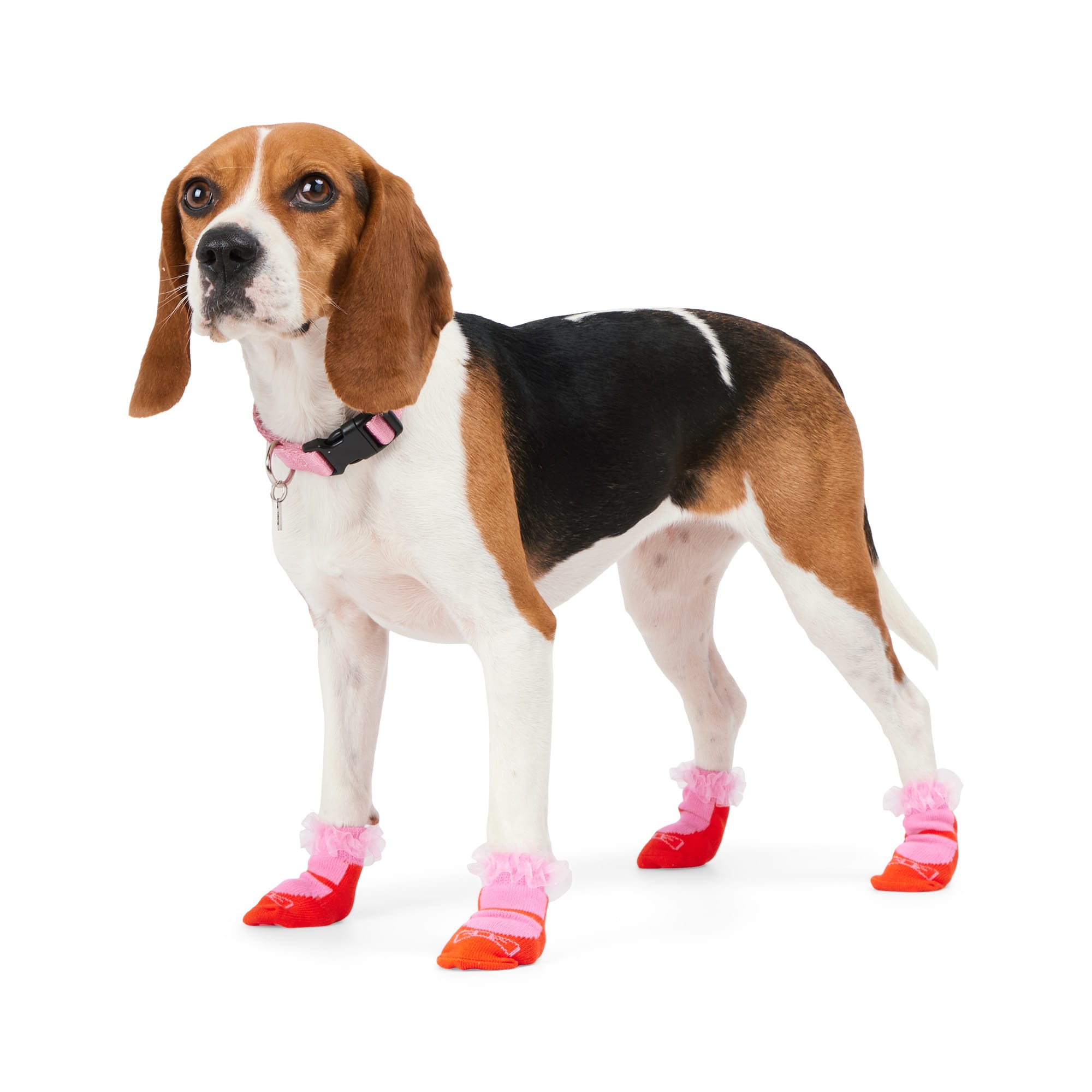 Merry Makings Pink Dip Sock for Dogs Small