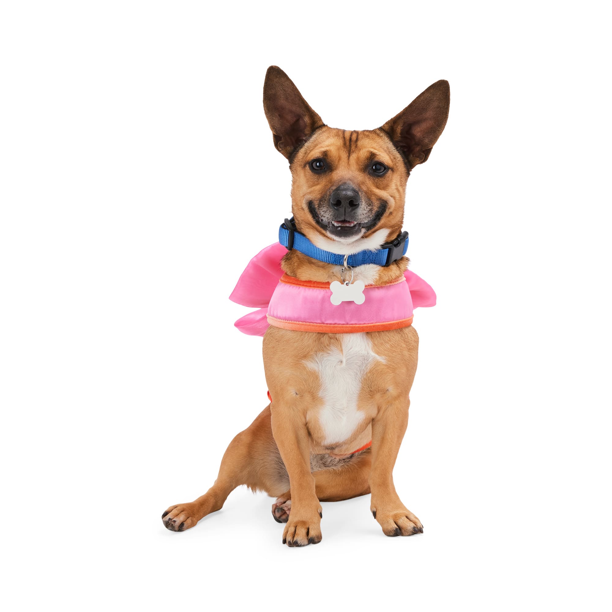 YOULY Bow Dog Harness X Small Pink Petco