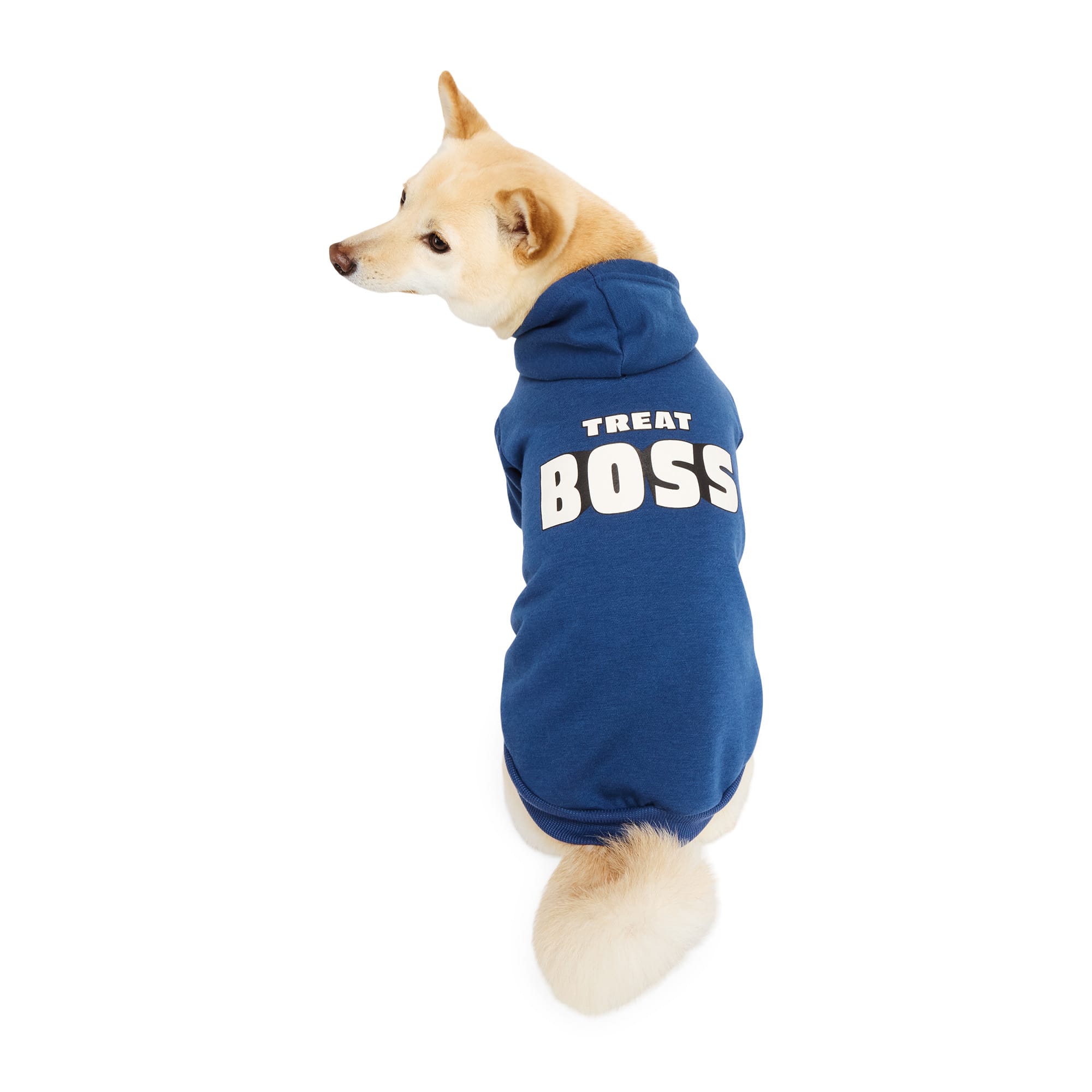 YOULY Treat Boss Dog Hoodie, XX-Small, Blue | Petco