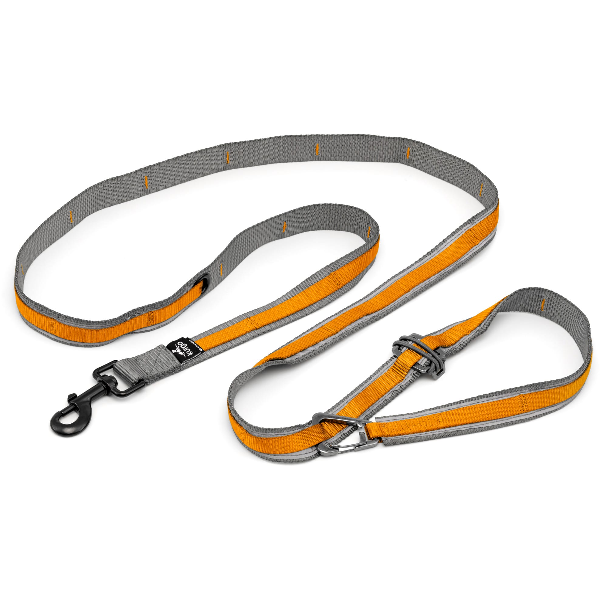 Double Handle Dog Leash Petco