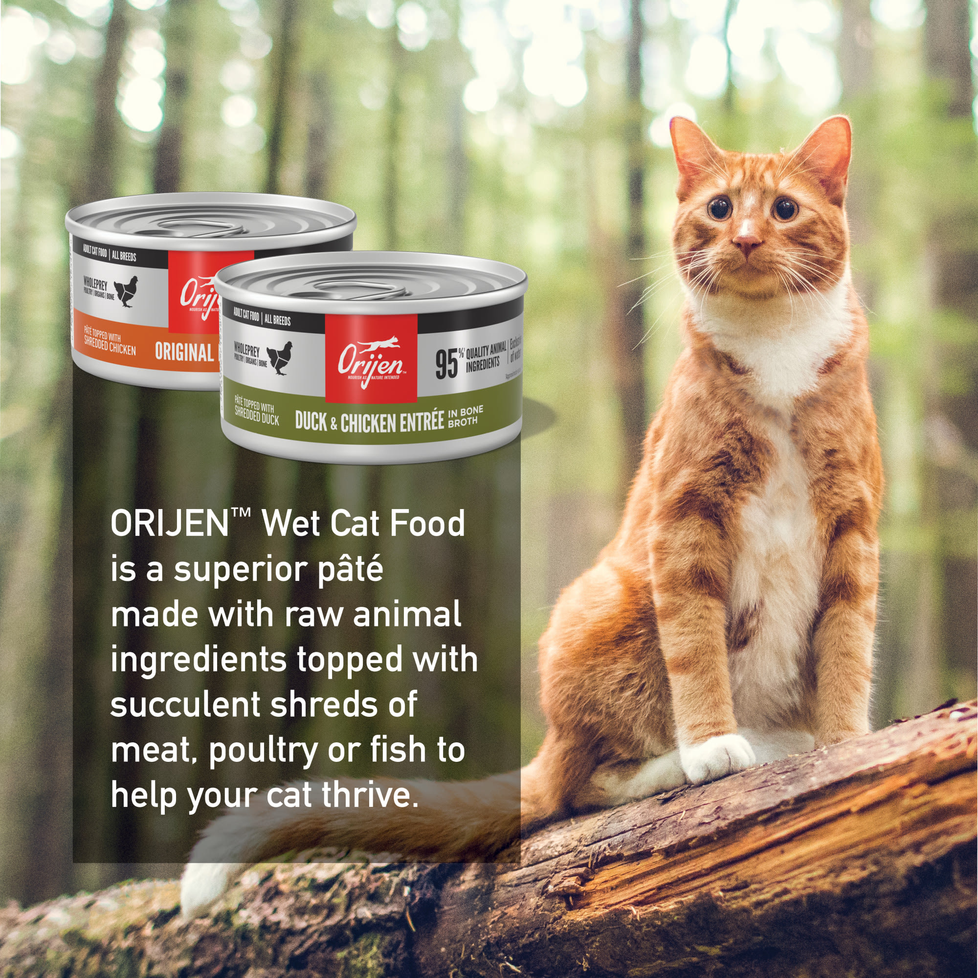 ORIJEN Pate Original + Duck & Chicken Variety Wet Cat Food, 3 oz