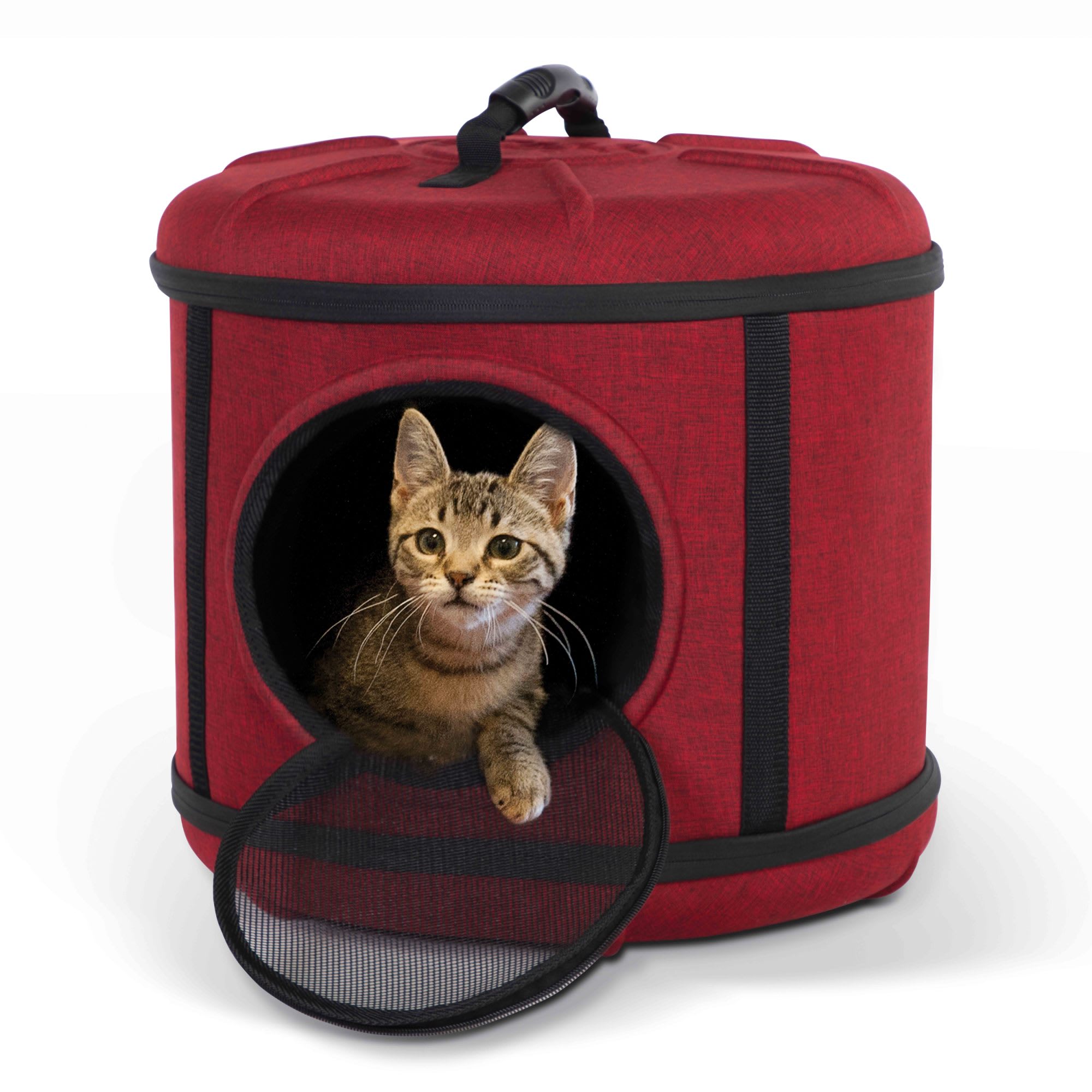 Petco soft 2025 cat carrier