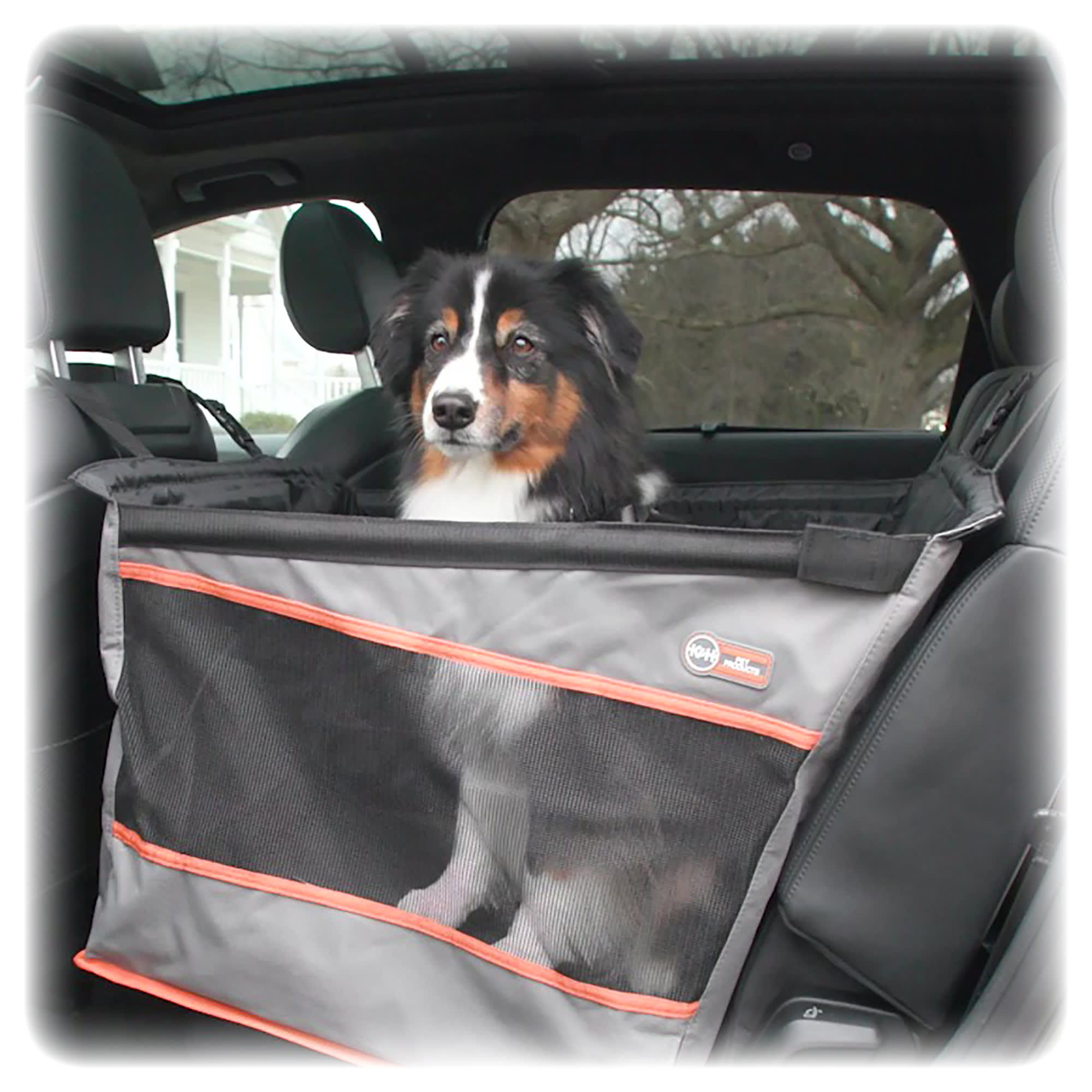 Dog car harness petco best sale