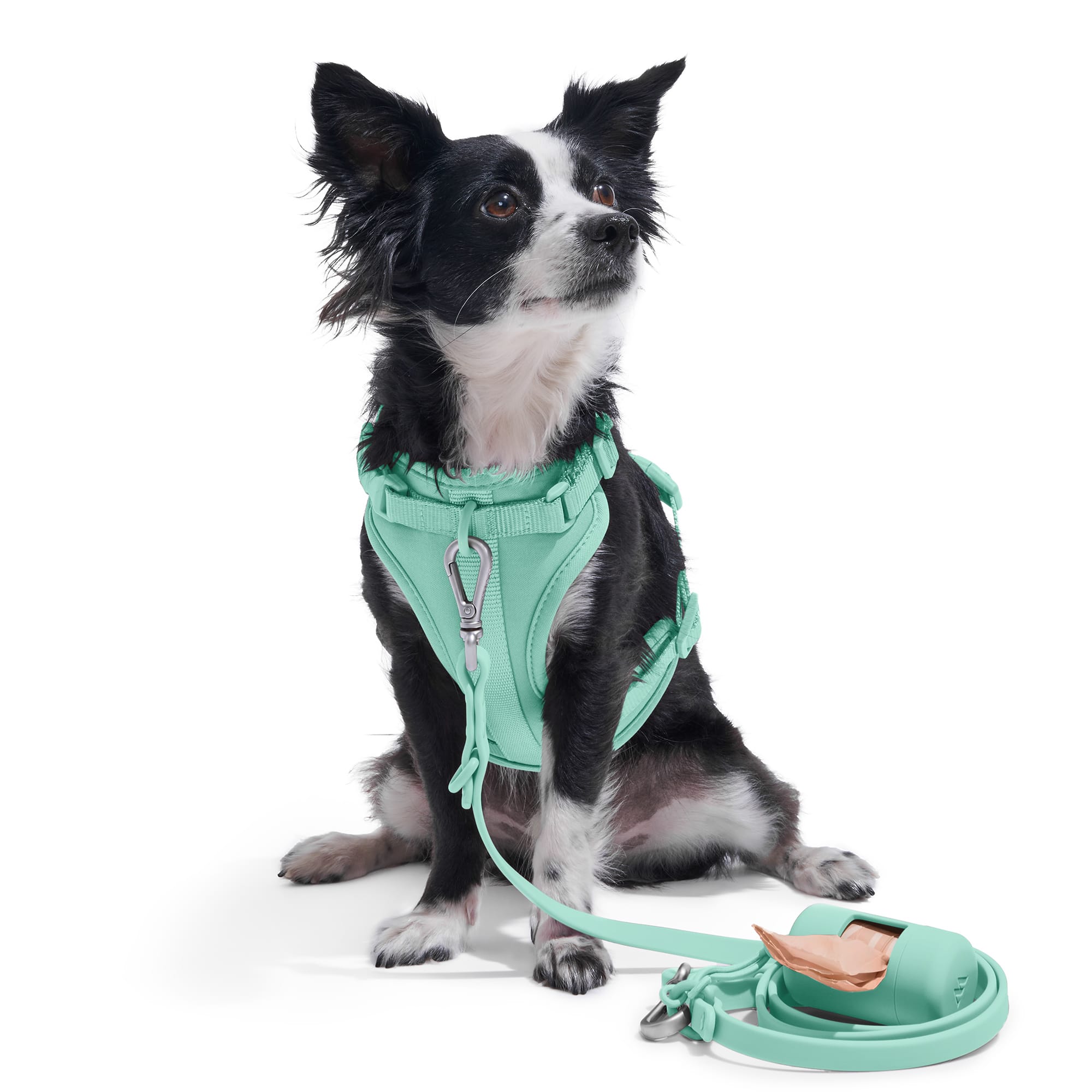 Wild One Cushioned Harness Seafoam Medium Petco