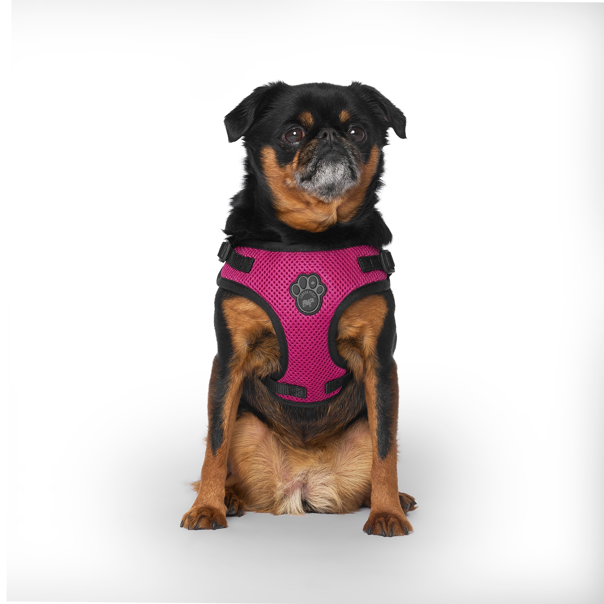 Canada Pooch EasyOn StepIn Plum Size Dog Harness, XSmall Petco