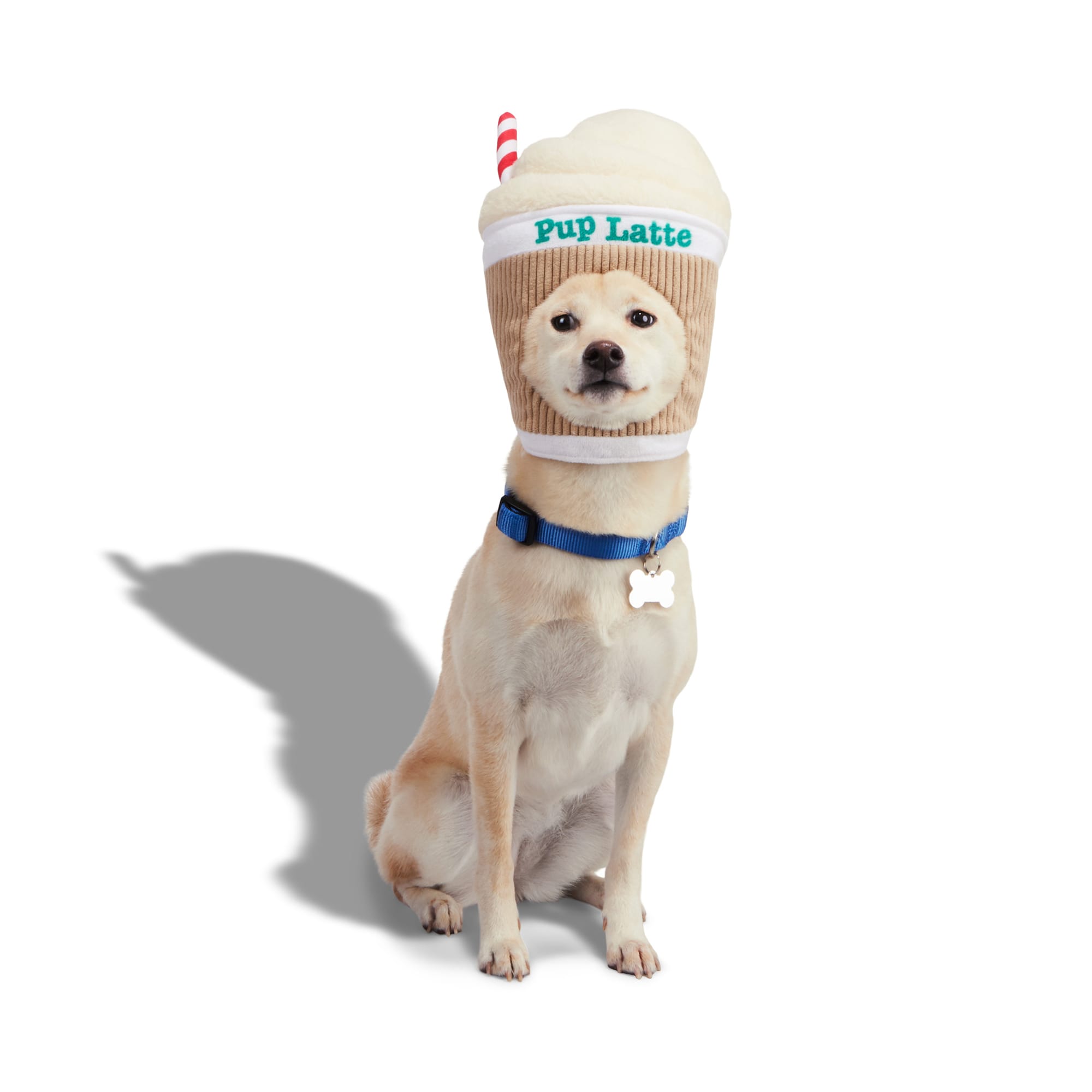 Petco dog supplies hotsell