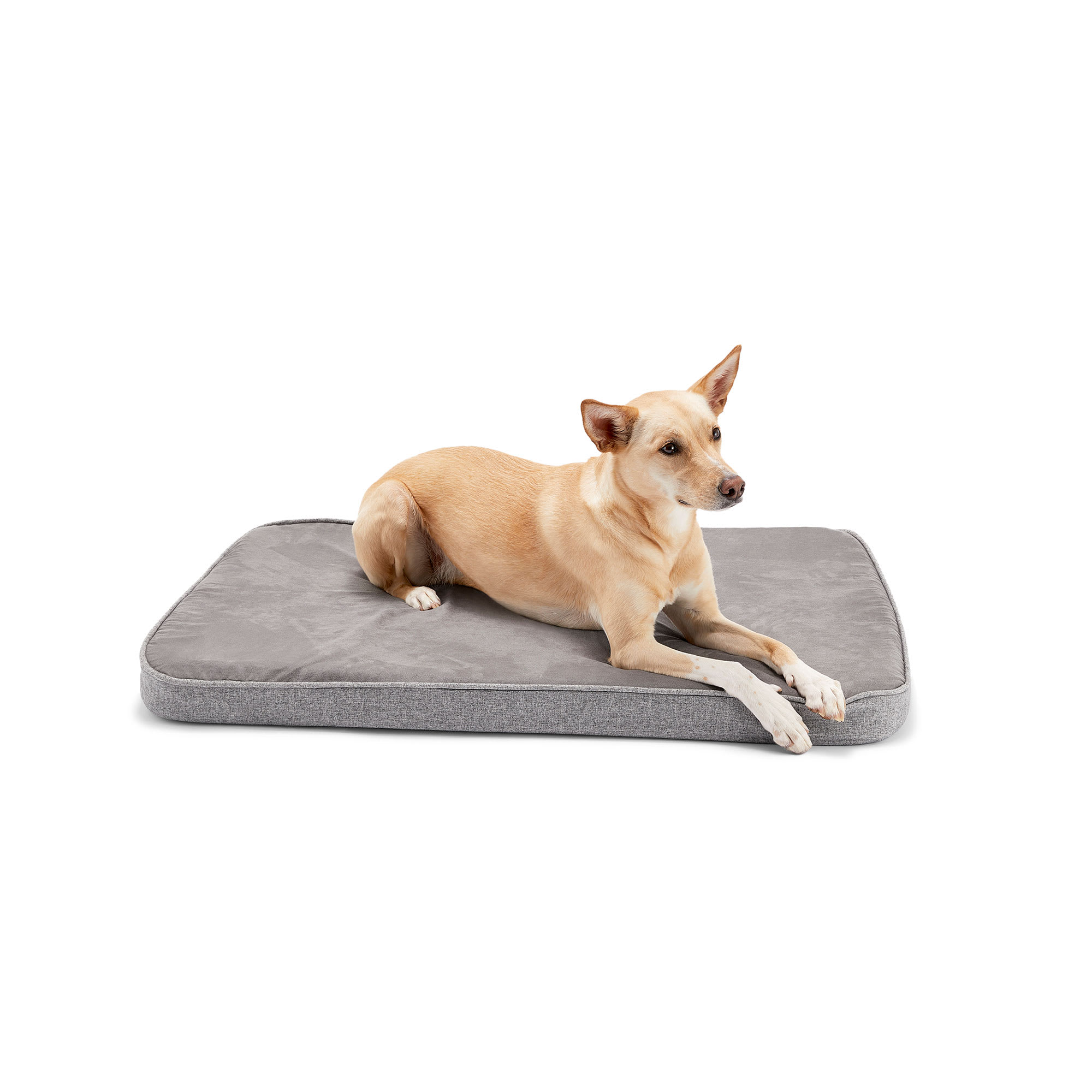 Diggs Snooz Orthopedic Foam Dog Bed & Crate Pad 38.7"x24.4"