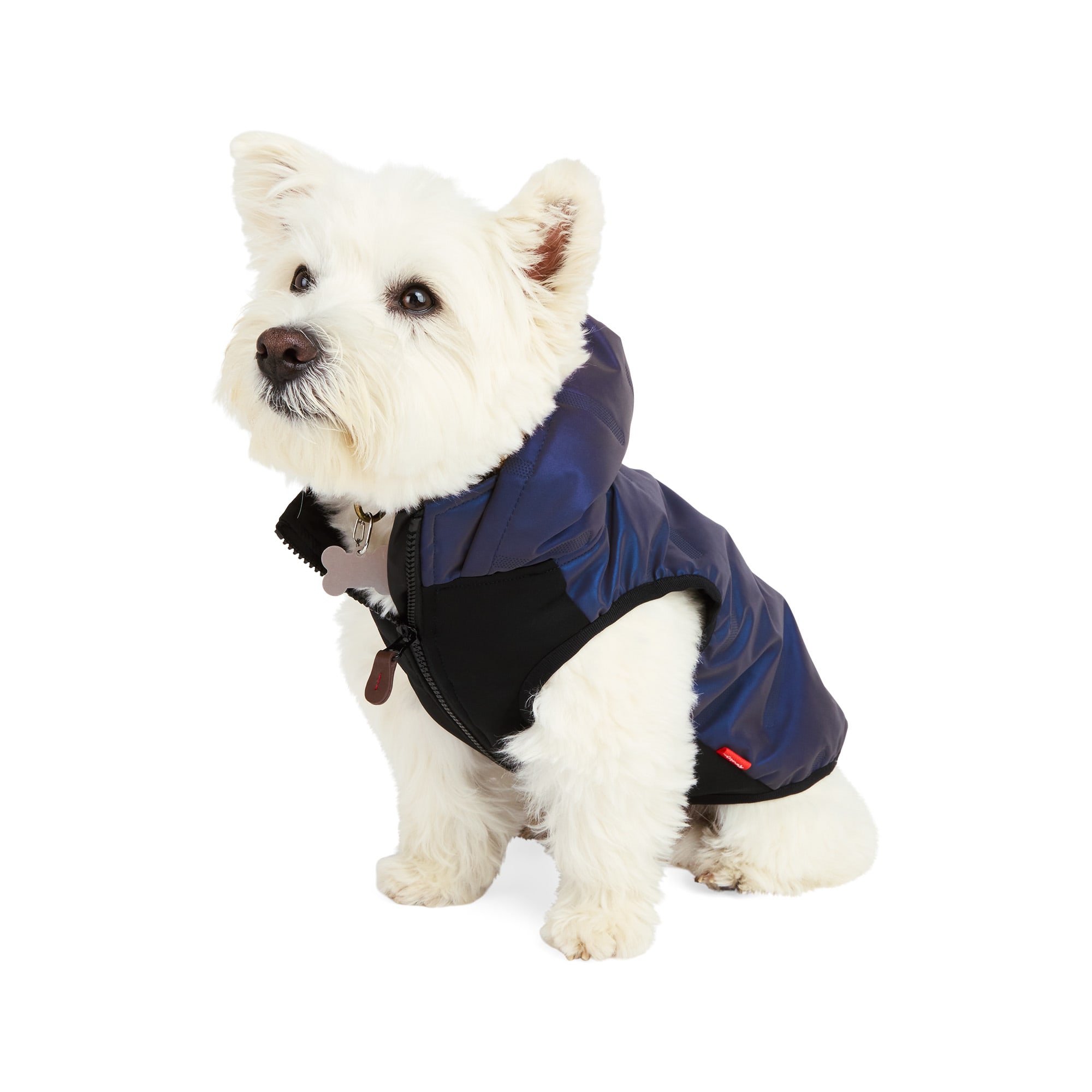 Reddy Ombre Reflective Dog Puffer Jacket, Black, X-Small Petco