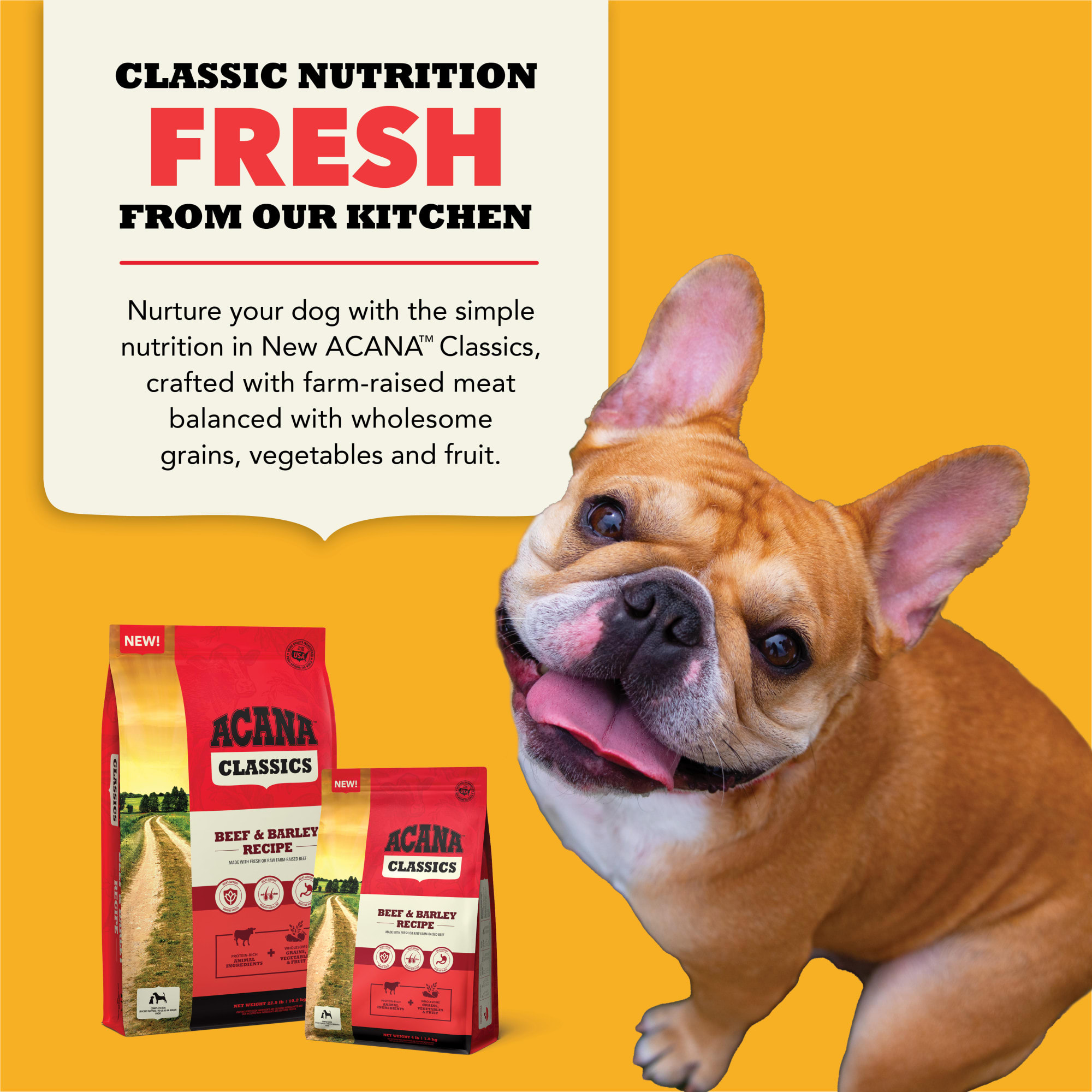 ACANA Classics Dry Dog Food Beef and Barley Recipe, 32 Petco
