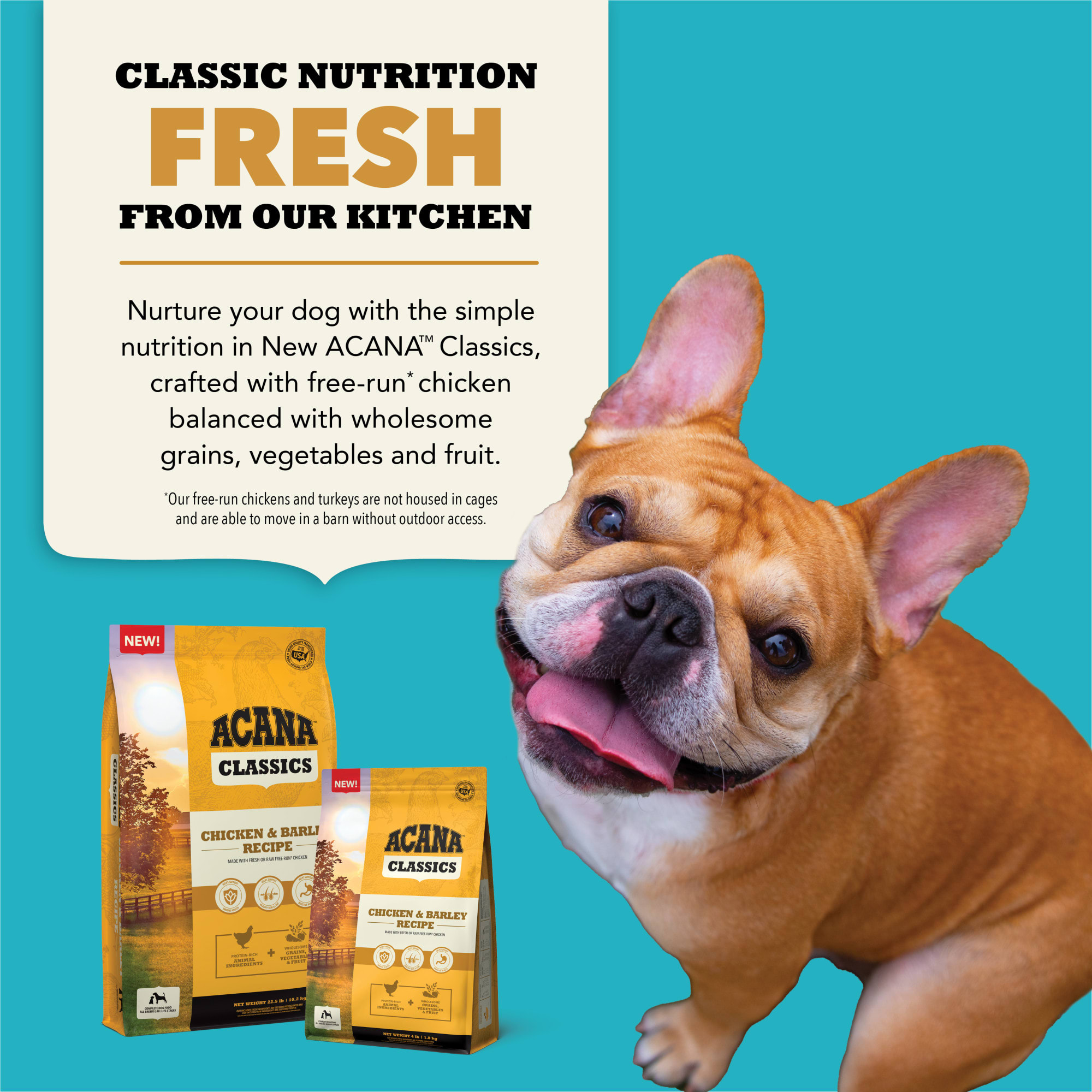 ACANA Classics Chicken & Barley Recipe Dry Dog Food, 22.5 lbs. | Petco