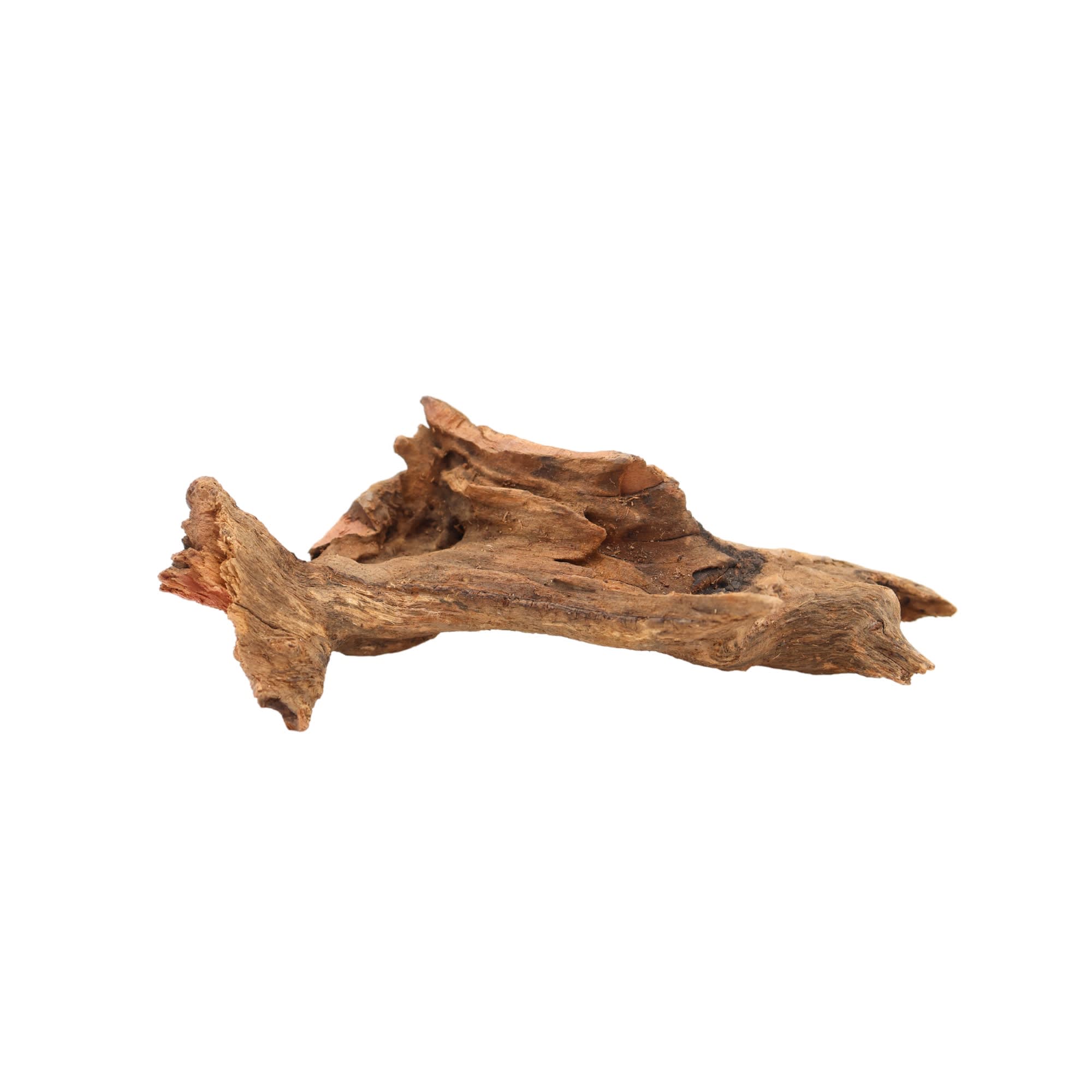 Imagitarium Large Driftwood for Terrariums & Live Plants