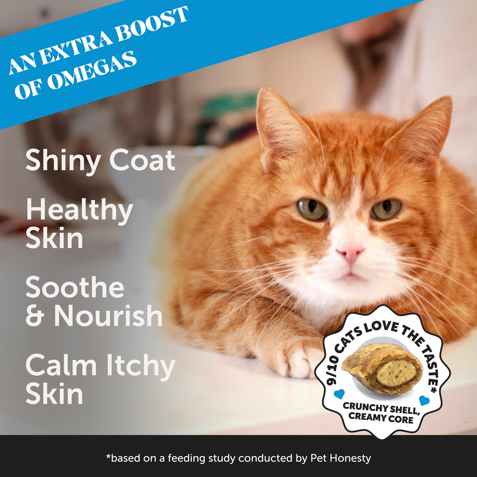 Cat food for itchy skin hotsell